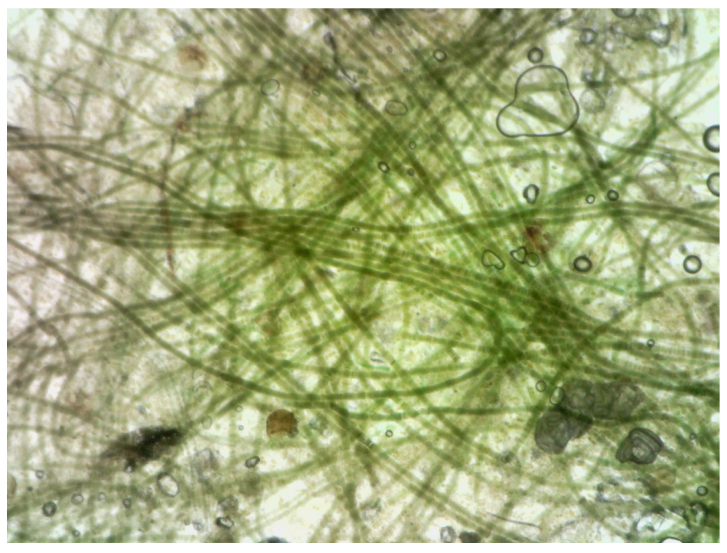 Oceans 06 00030 g003