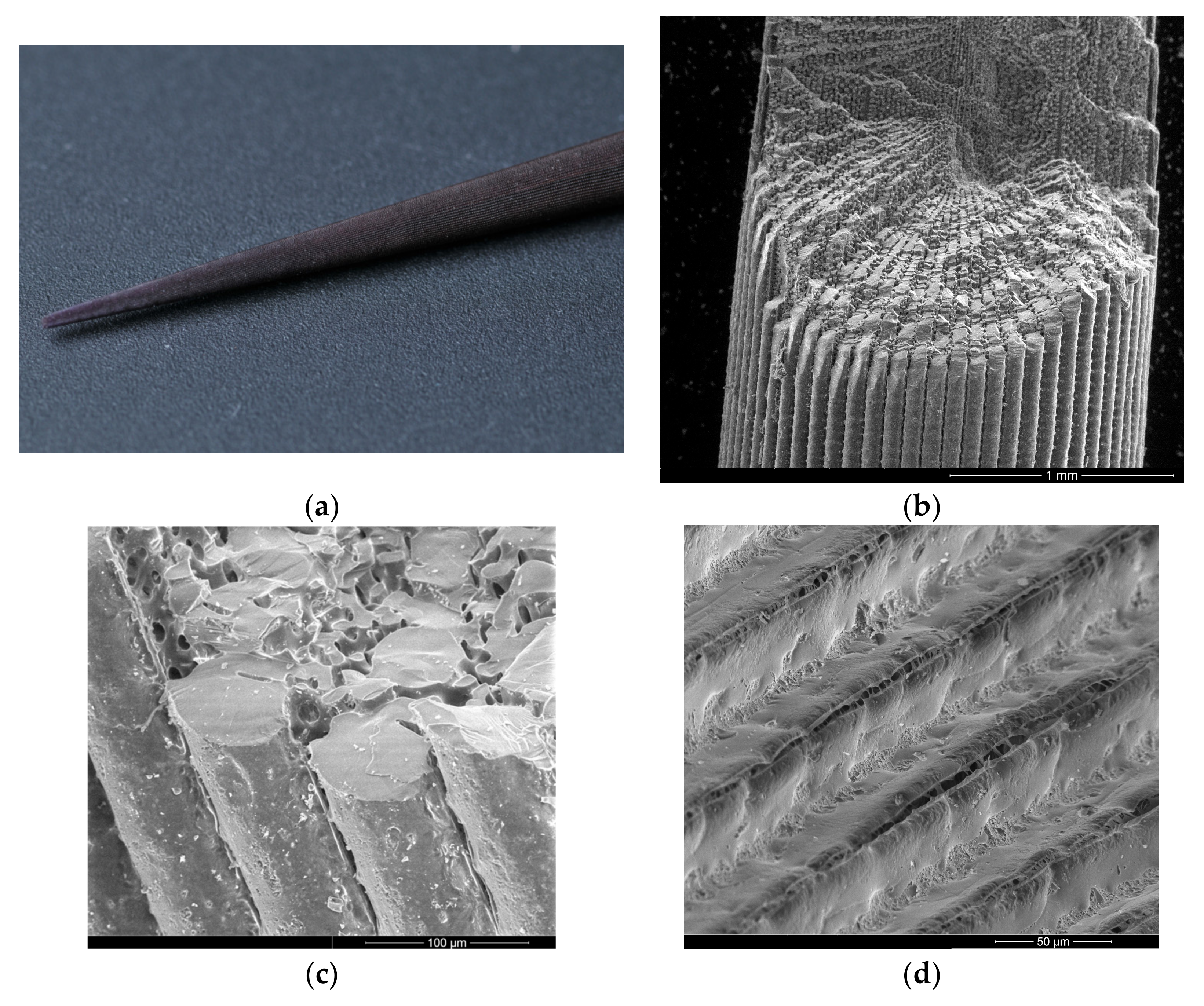 Oceans 06 00033 g001a