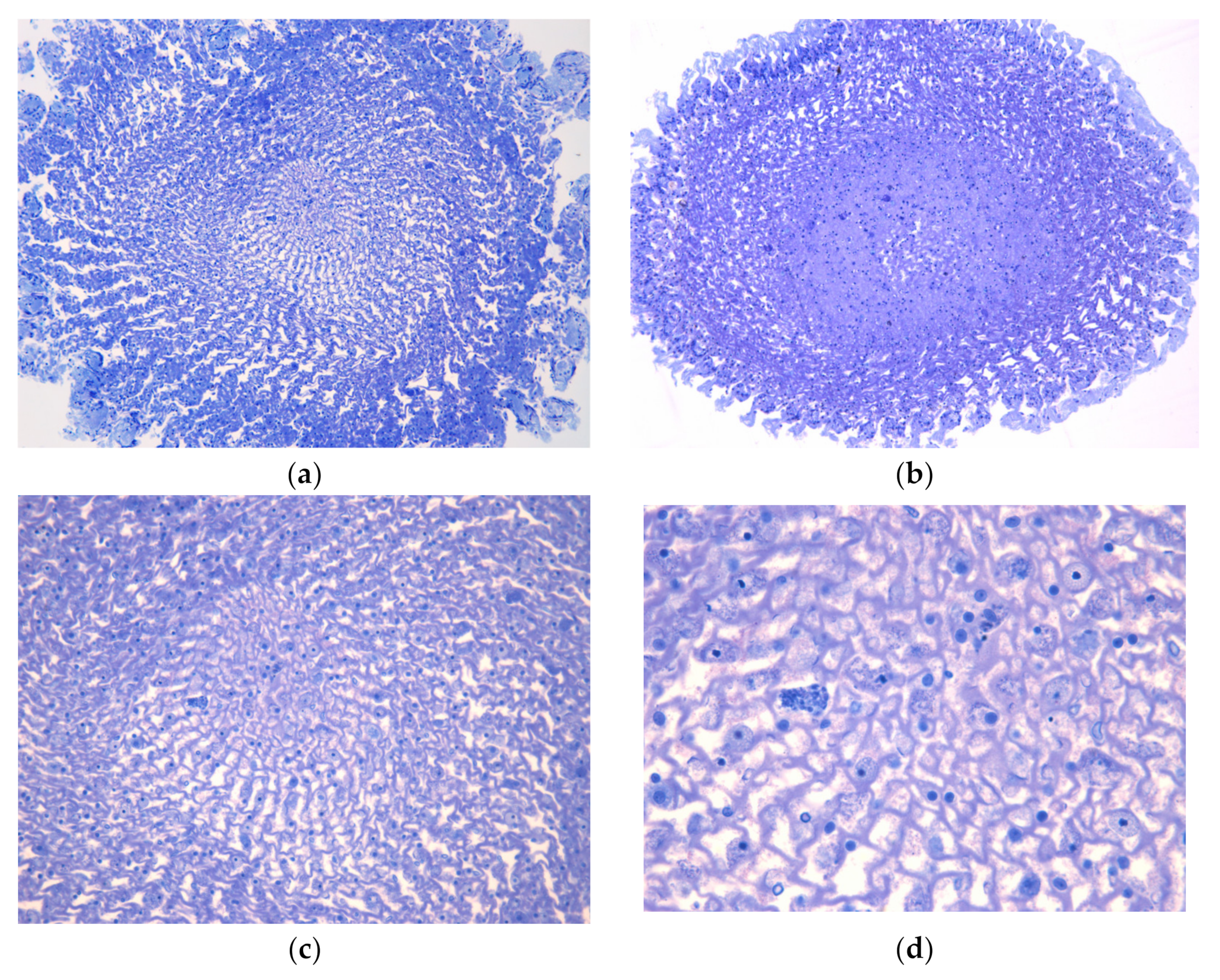 Oceans 06 00033 g002