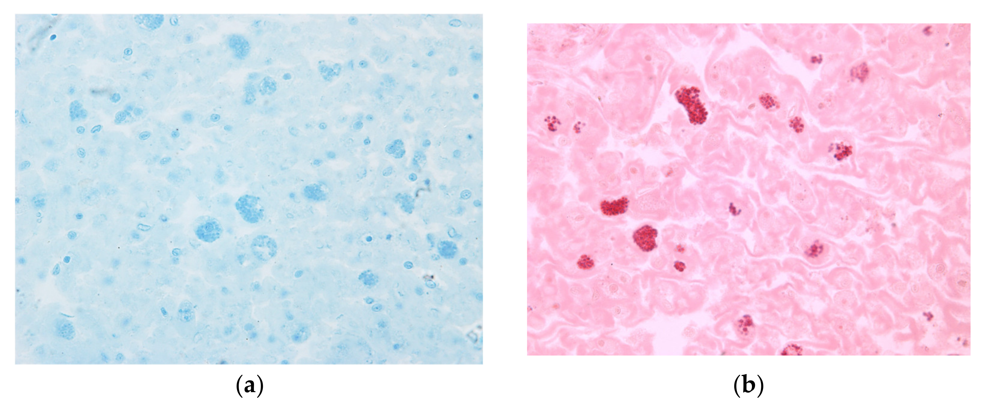 Oceans 06 00033 g003