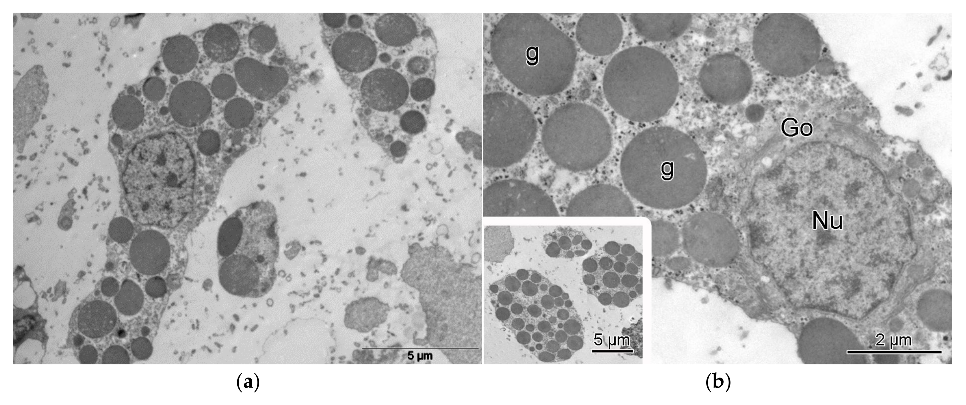 Oceans 06 00033 g004