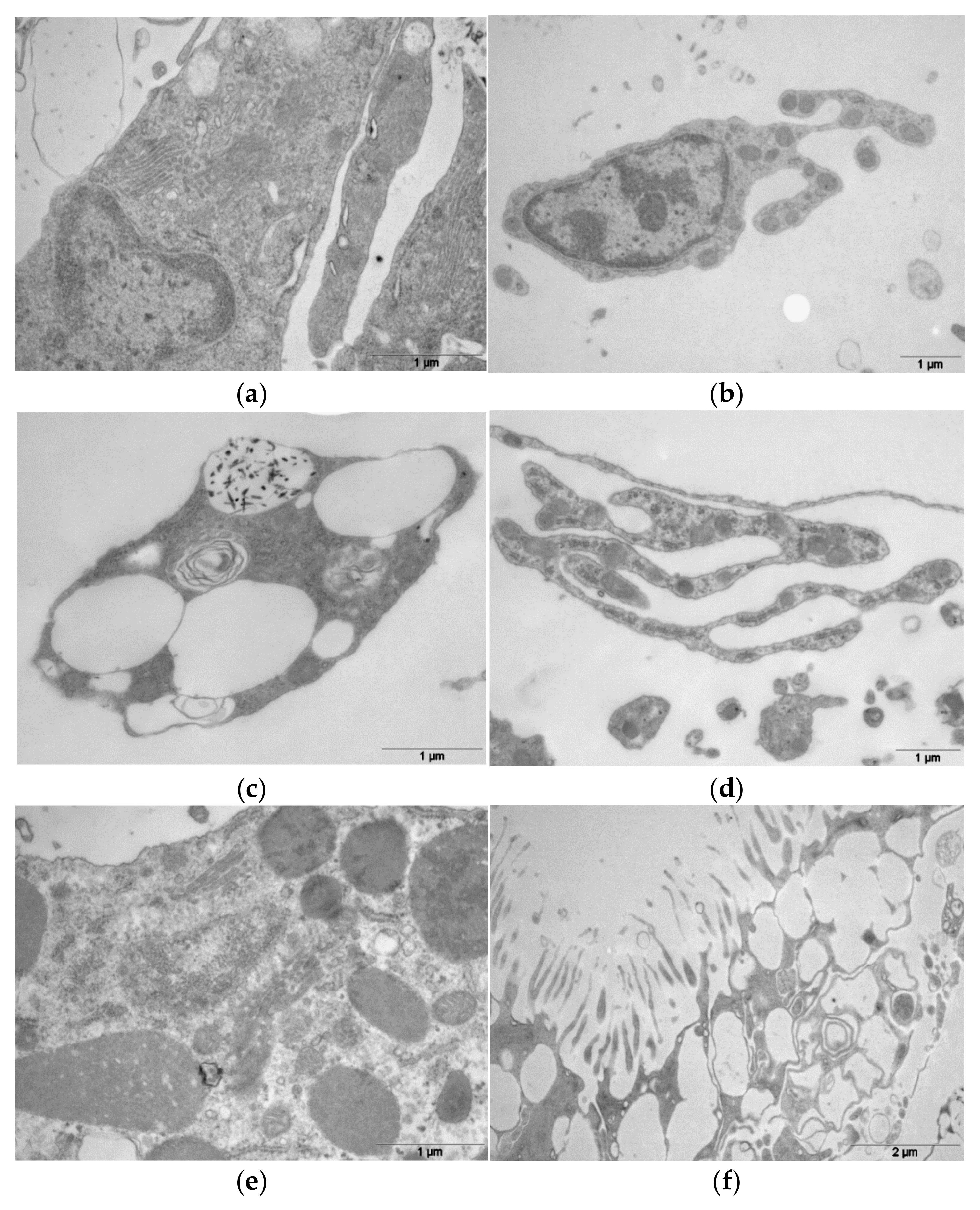 Oceans 06 00033 g005