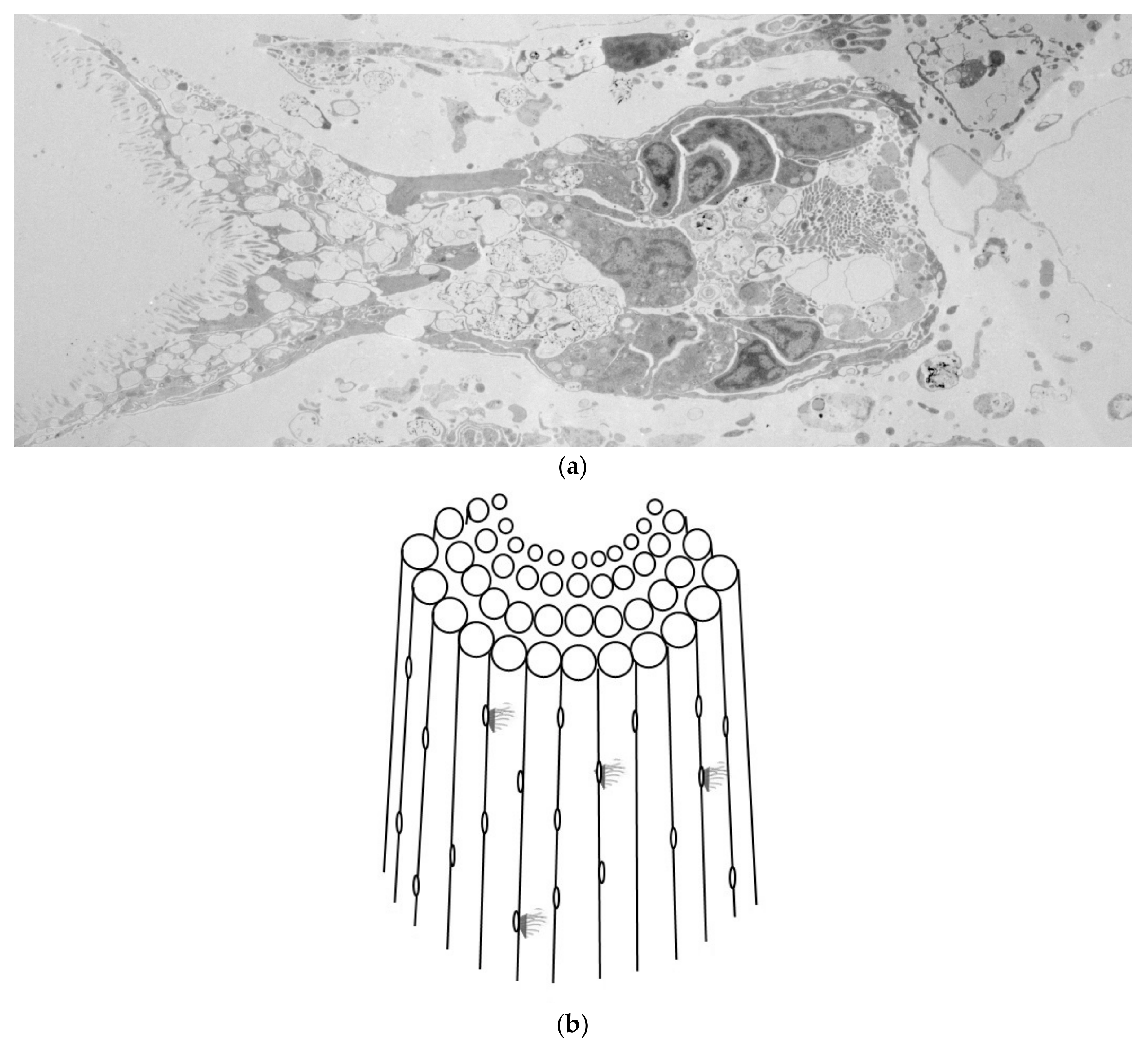 Oceans 06 00033 g006