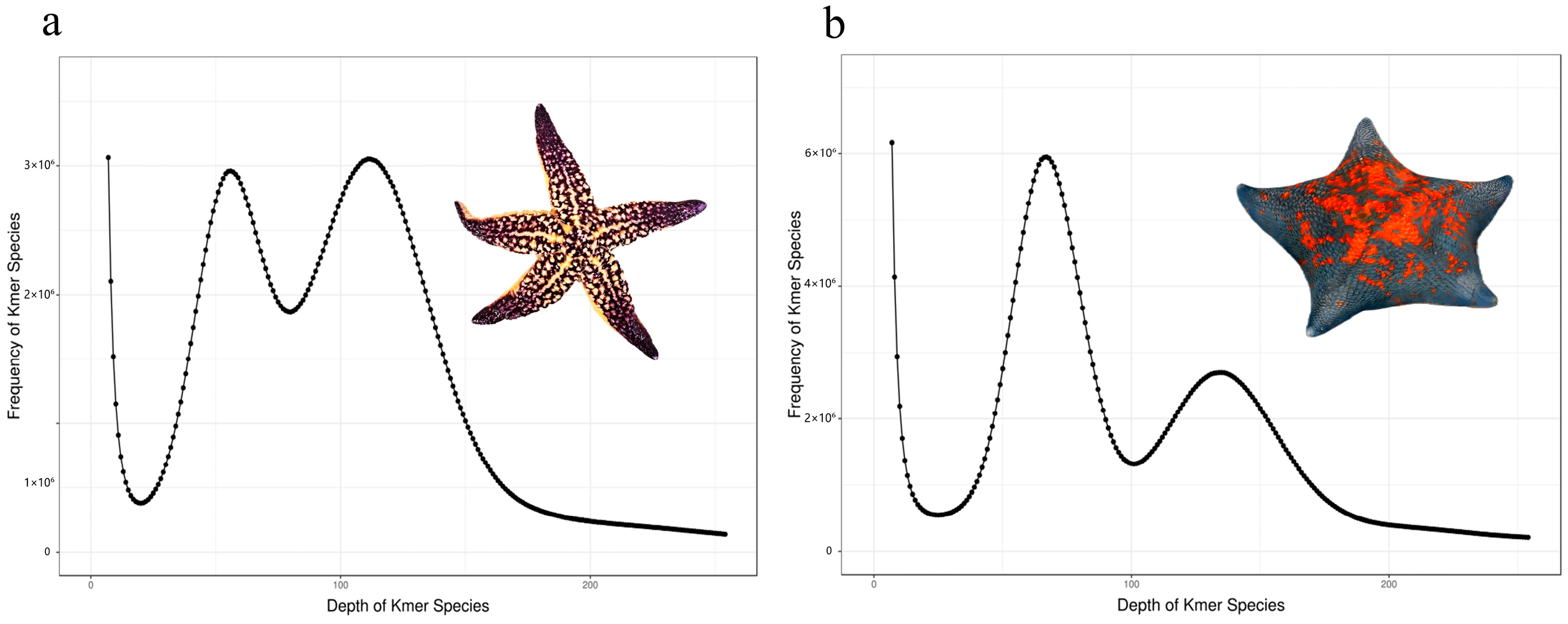 Oceans 06 00035 g001