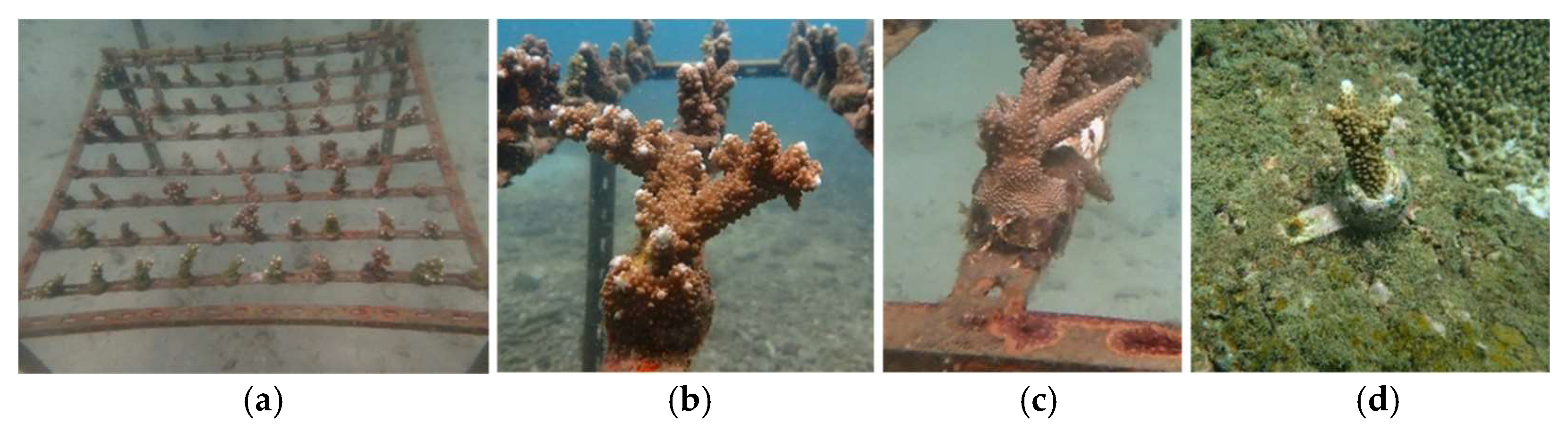 Oceans 06 00042 g002