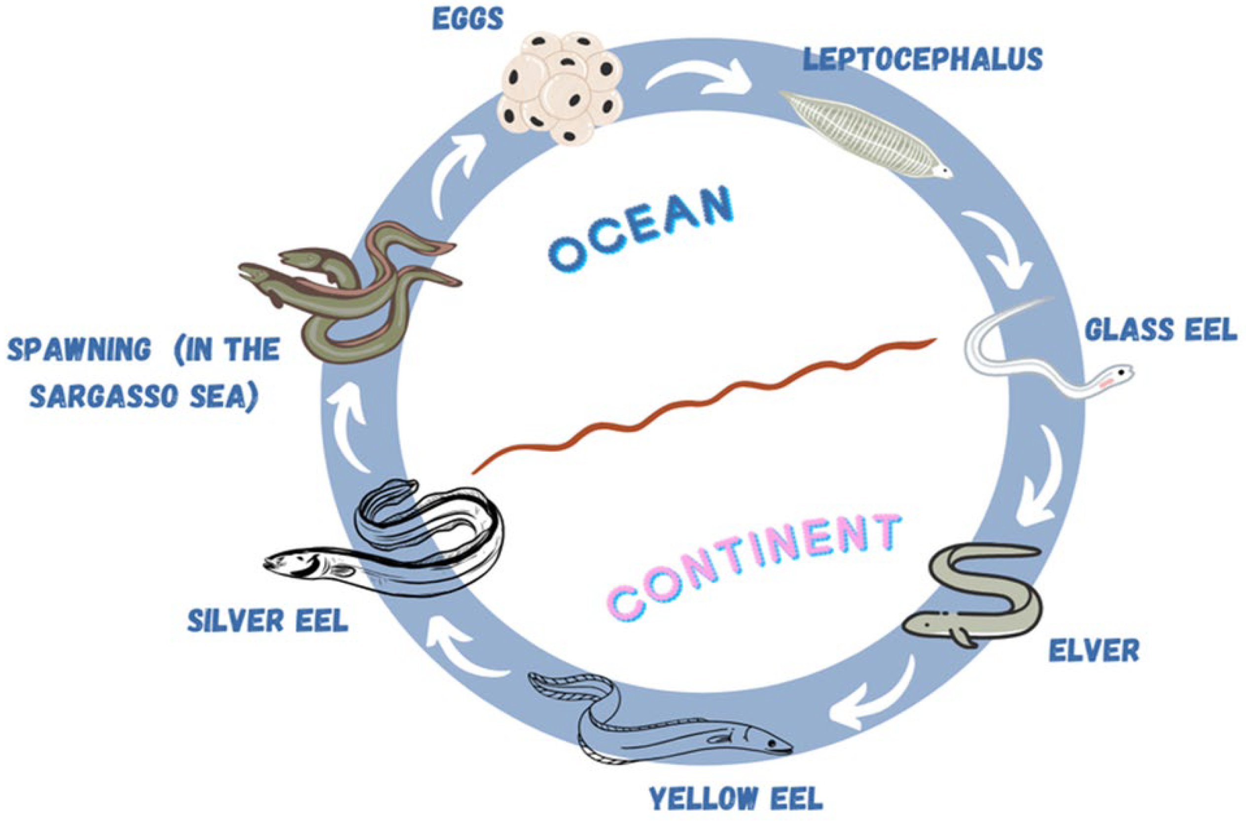 Oceans 06 00050 g002 Oceans 06 00050 g002