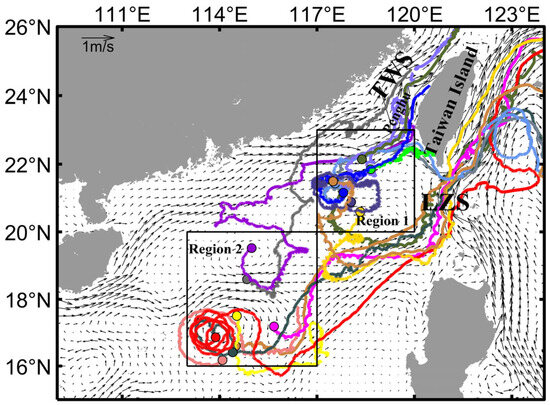 Analyzing the Seasonal Variability in South China Sea