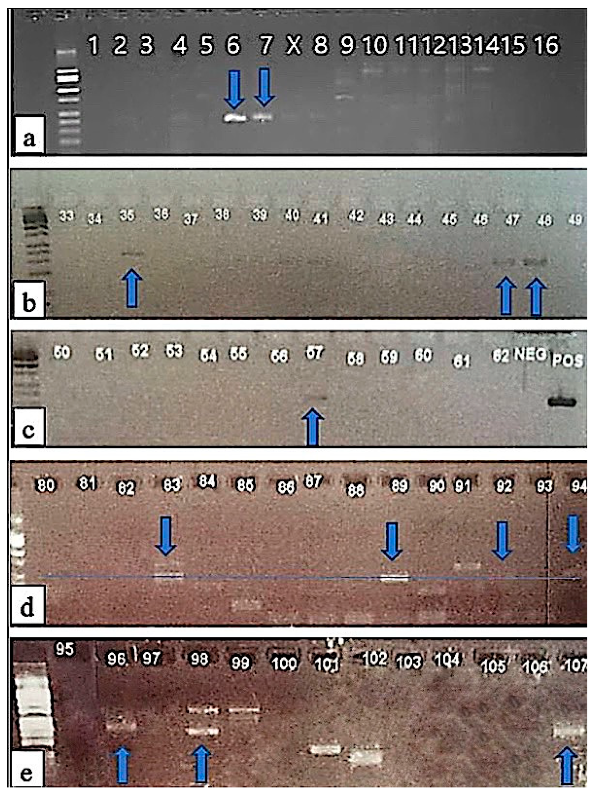 Oceans 06 00066 g005 Oceans 06 00066 g005