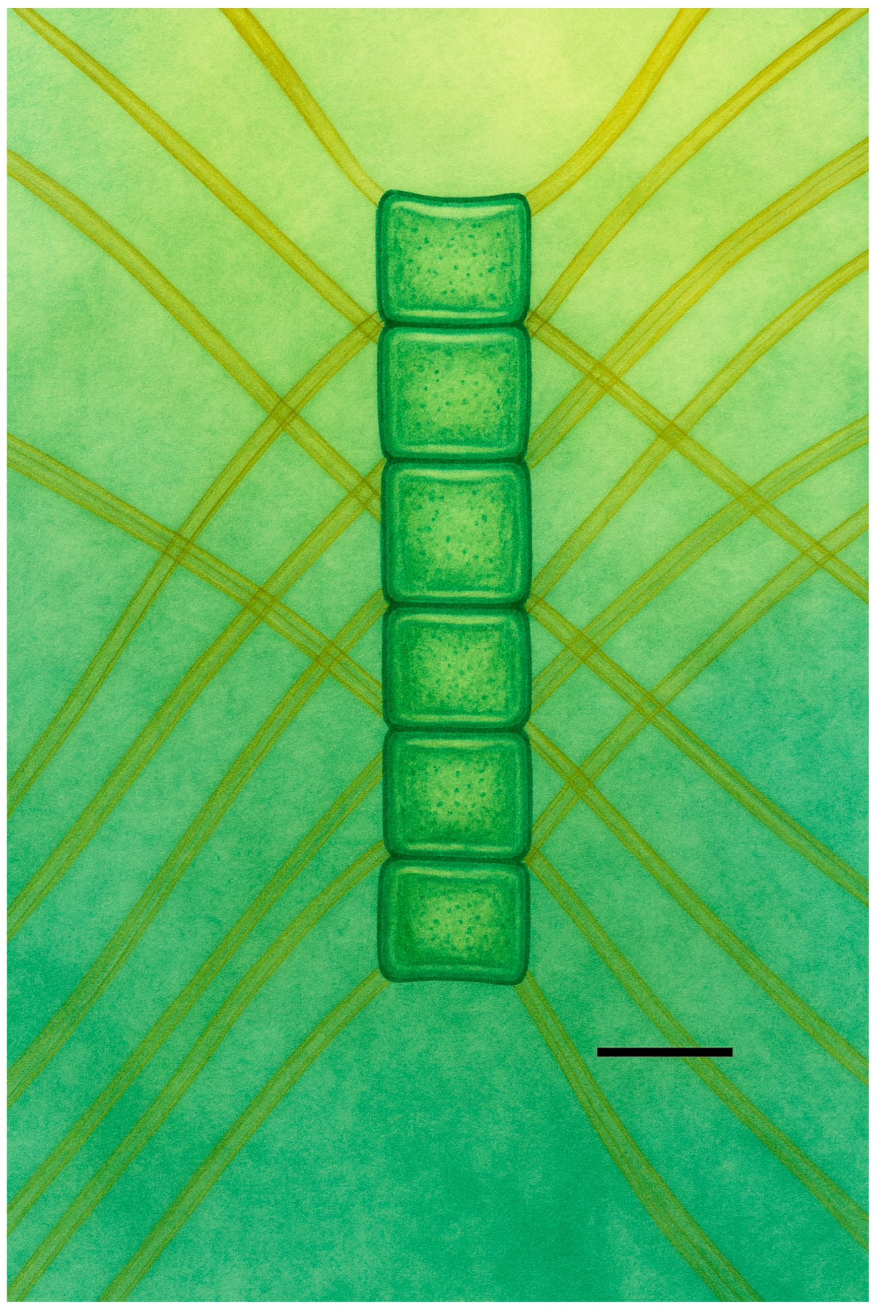 Oceans 06 00079 g001