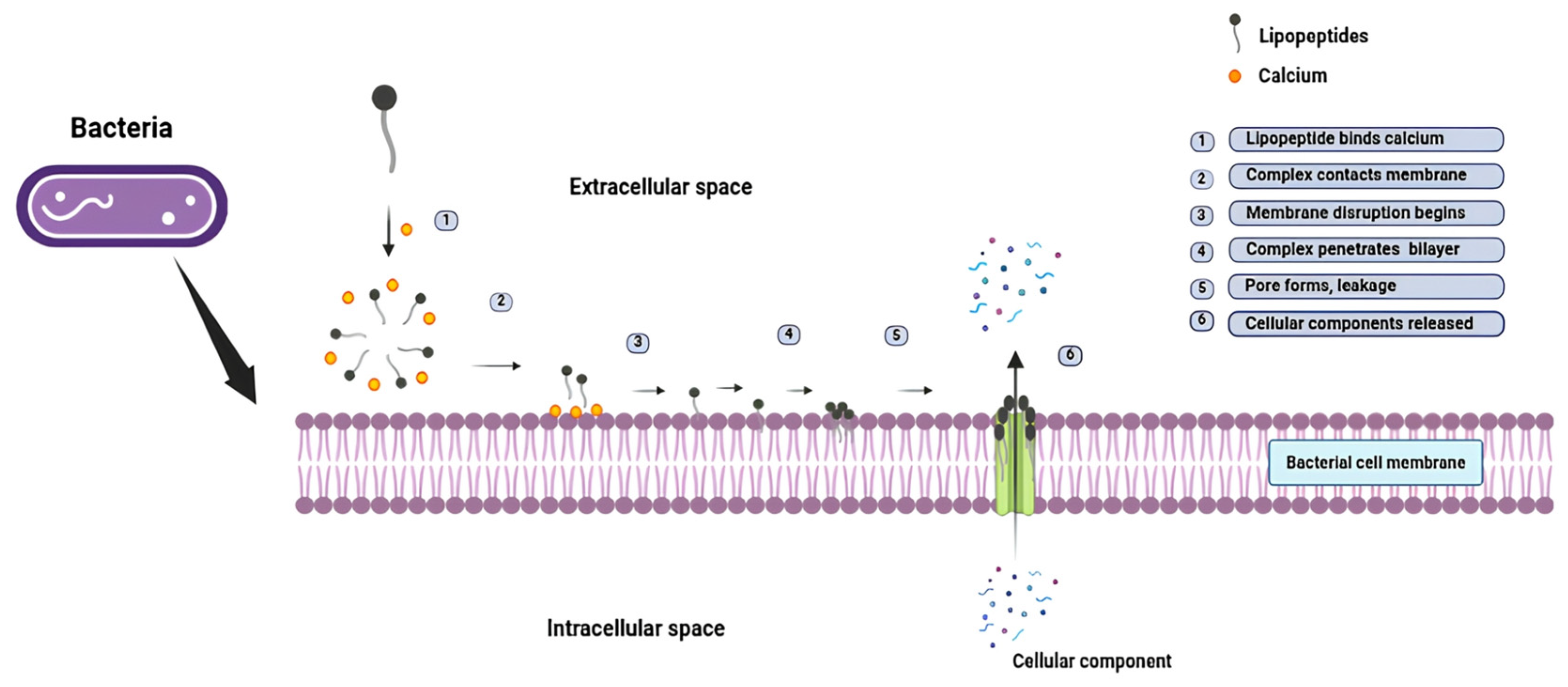 Oceans 07 00004 g006 Oceans 07 00004 g006