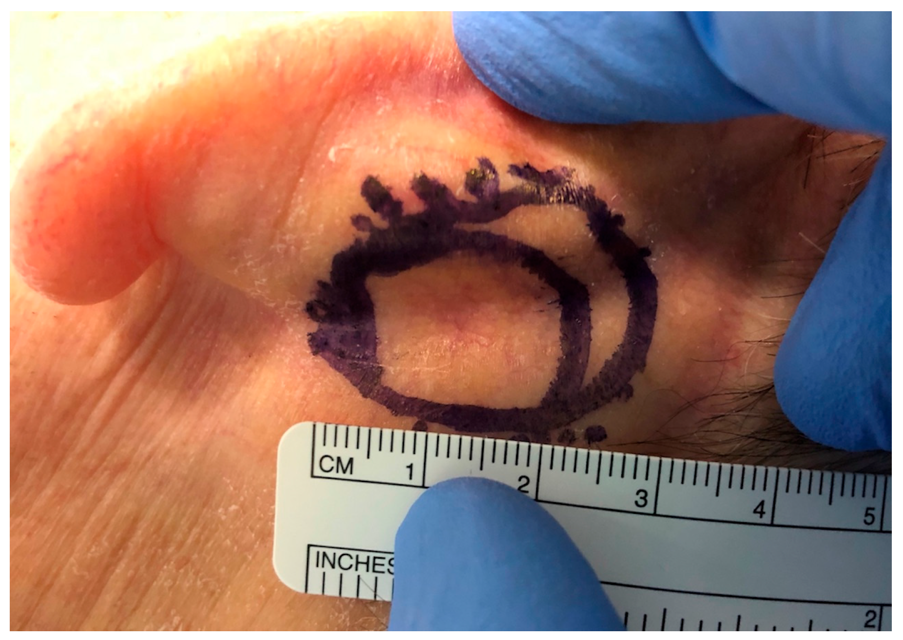 Ohbm 04 00010 g004 Ohbm 04 00010 g004