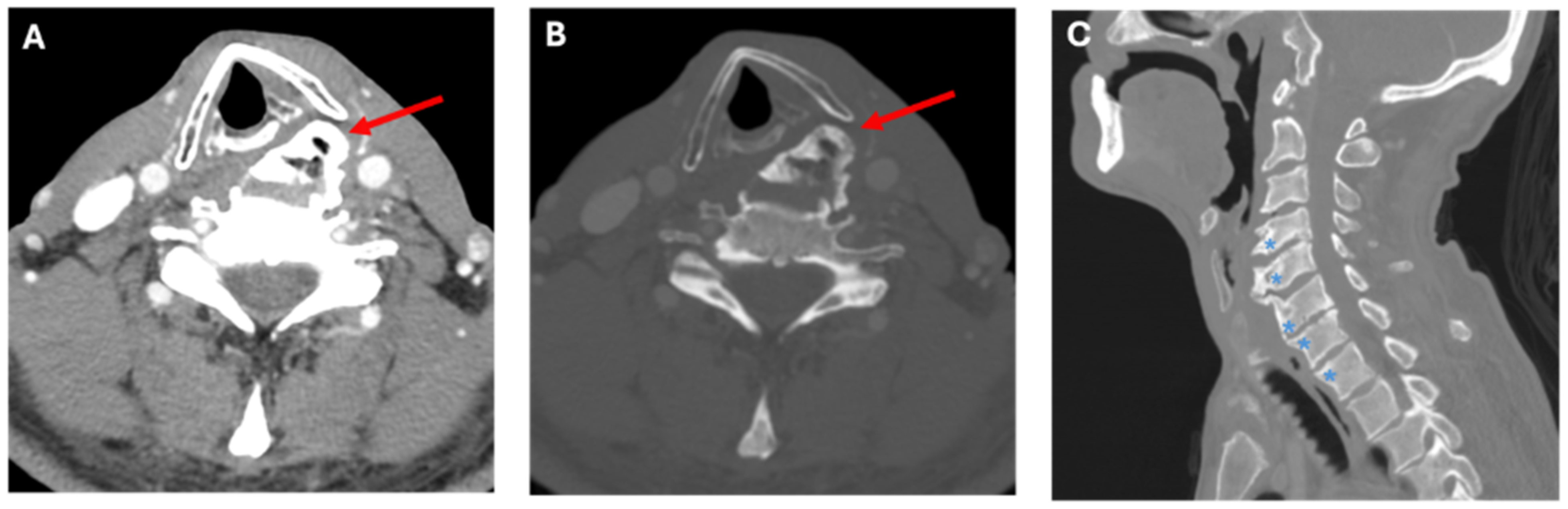 Ohbm 06 00020 g002 Ohbm 06 00020 g002