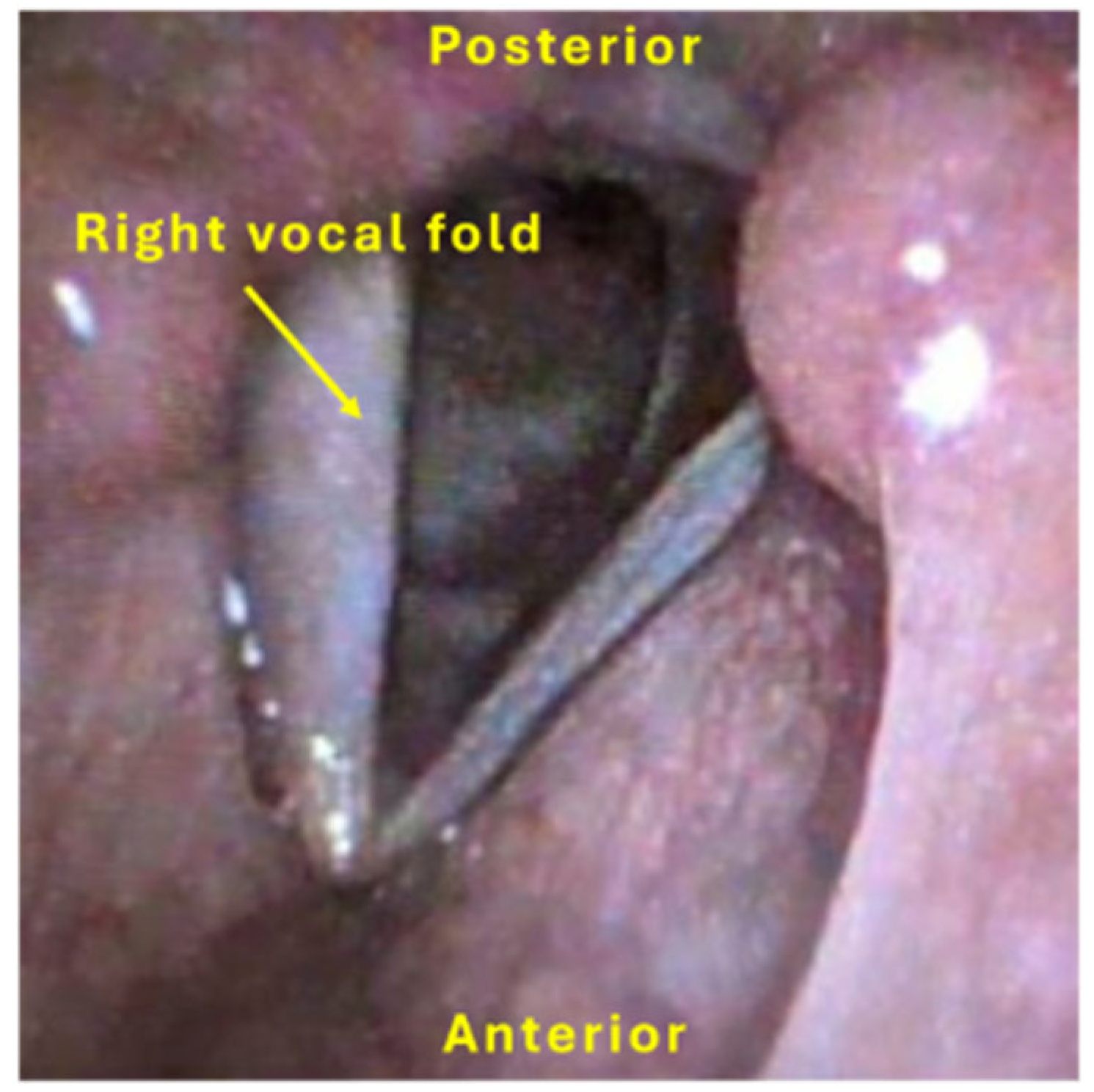 Ohbm 06 00020 g003 Ohbm 06 00020 g003