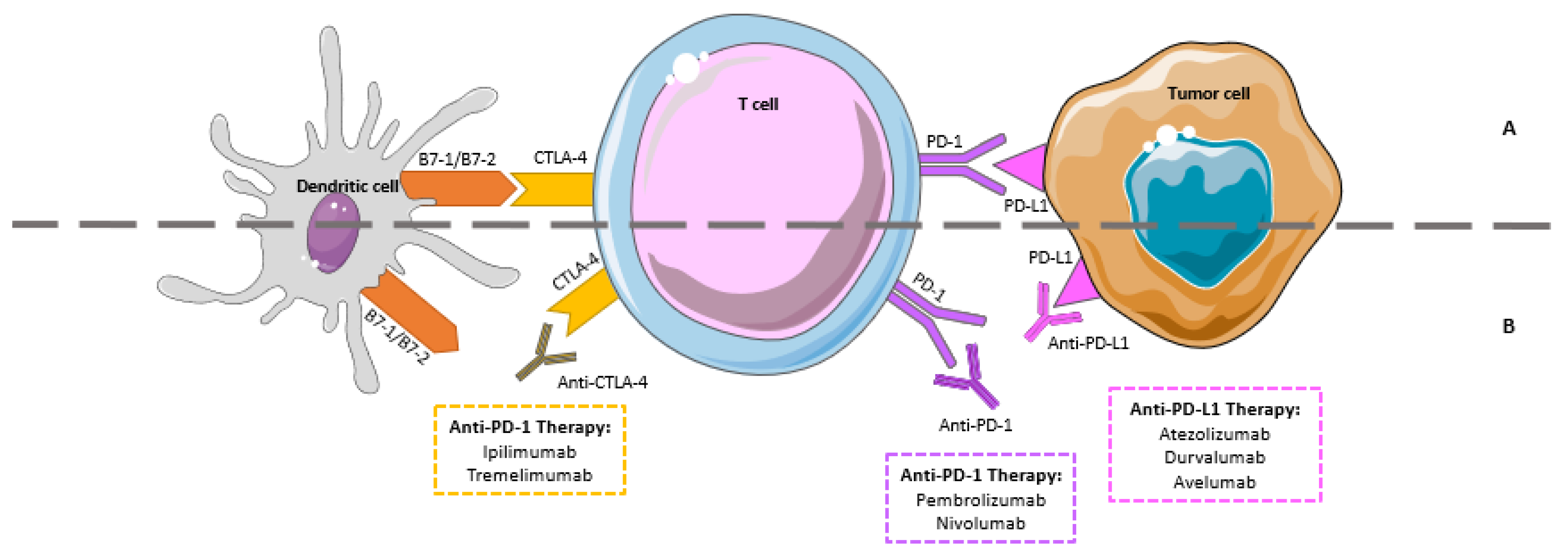 Onco 01 00002 g003 Onco 01 00002 g003
