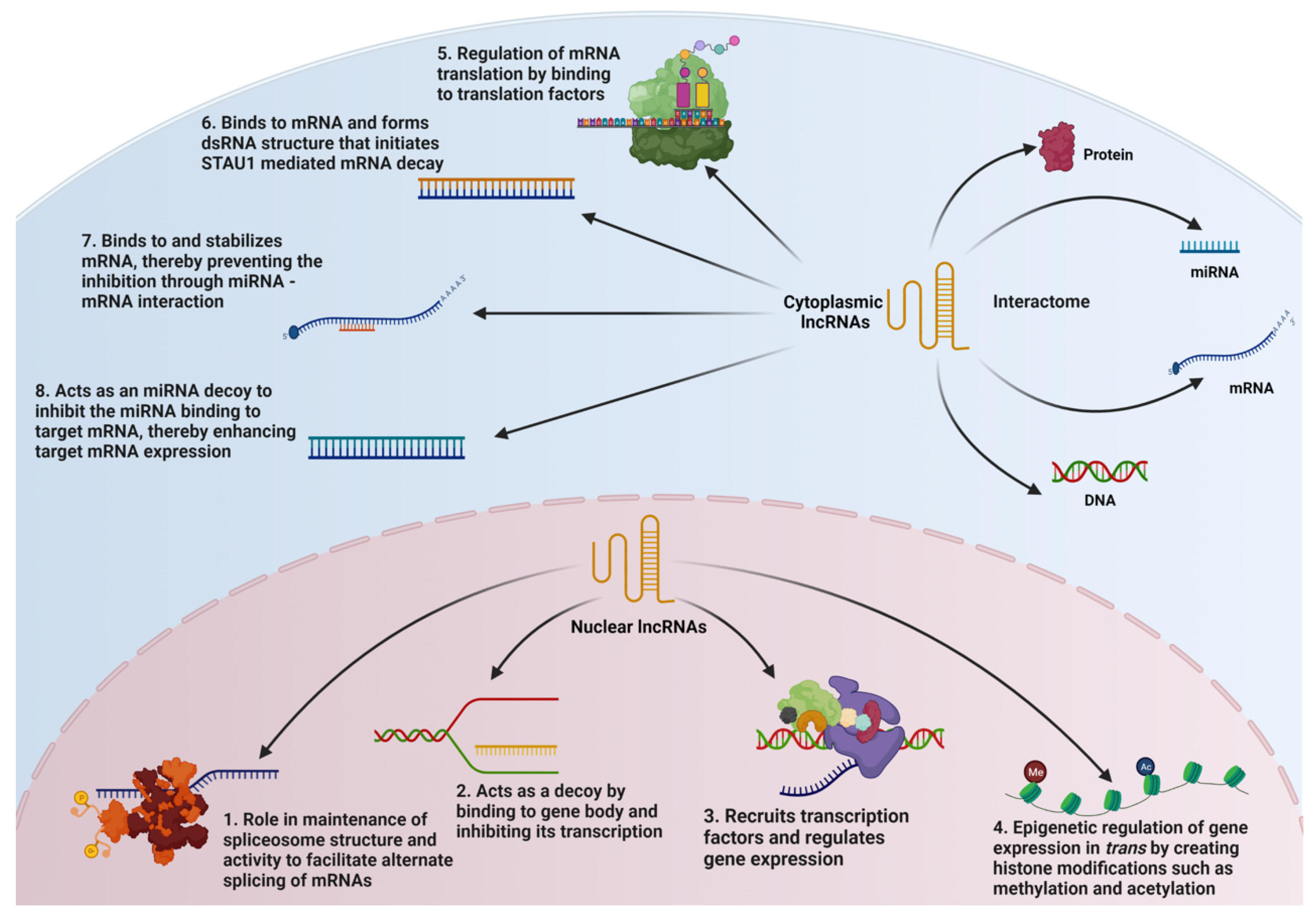 Decoding the Oncogenic Signals from the Long Non-Coding RNAs