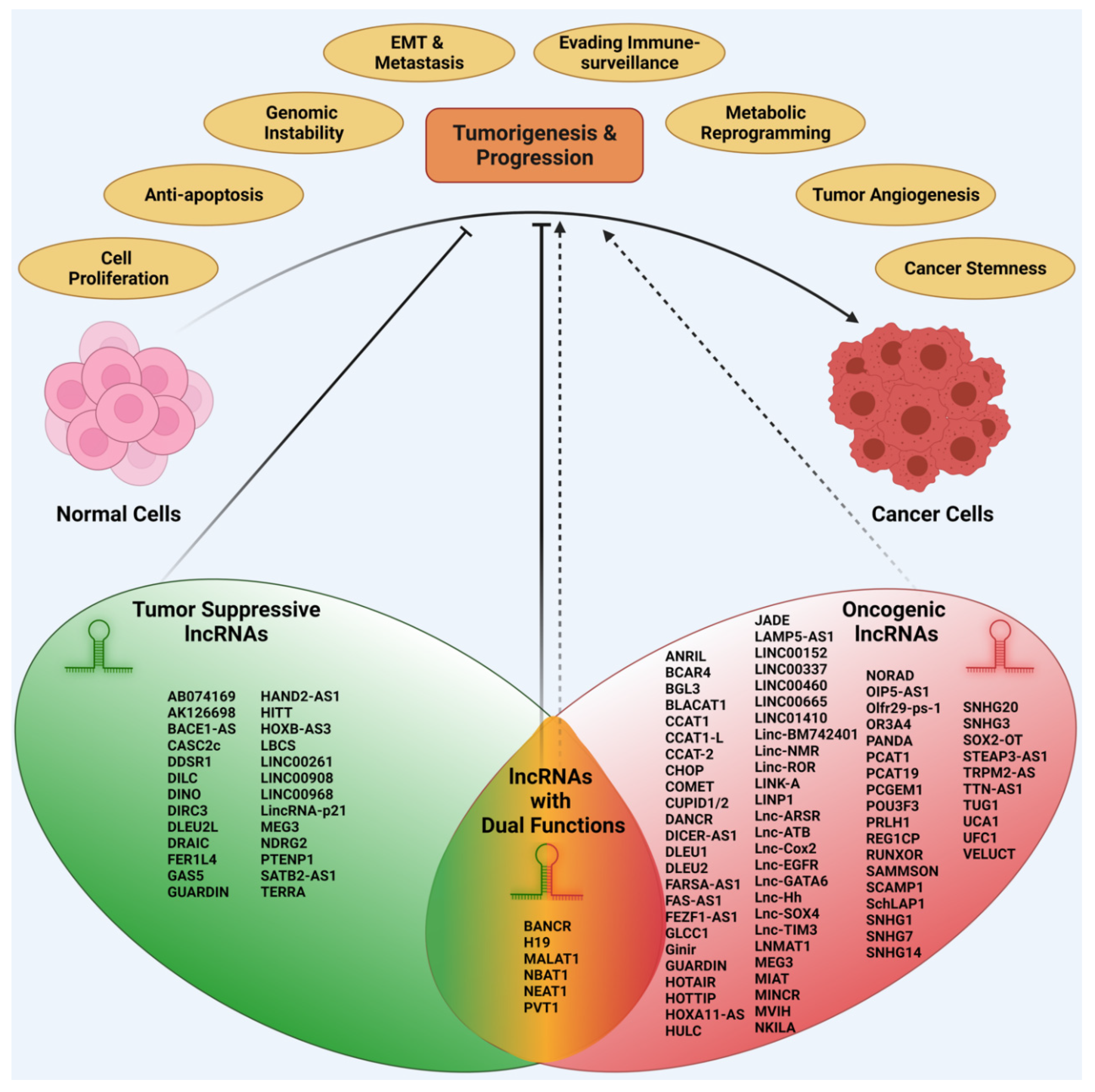 Onco | Free Full-Text | Decoding the Oncogenic Signals from the 