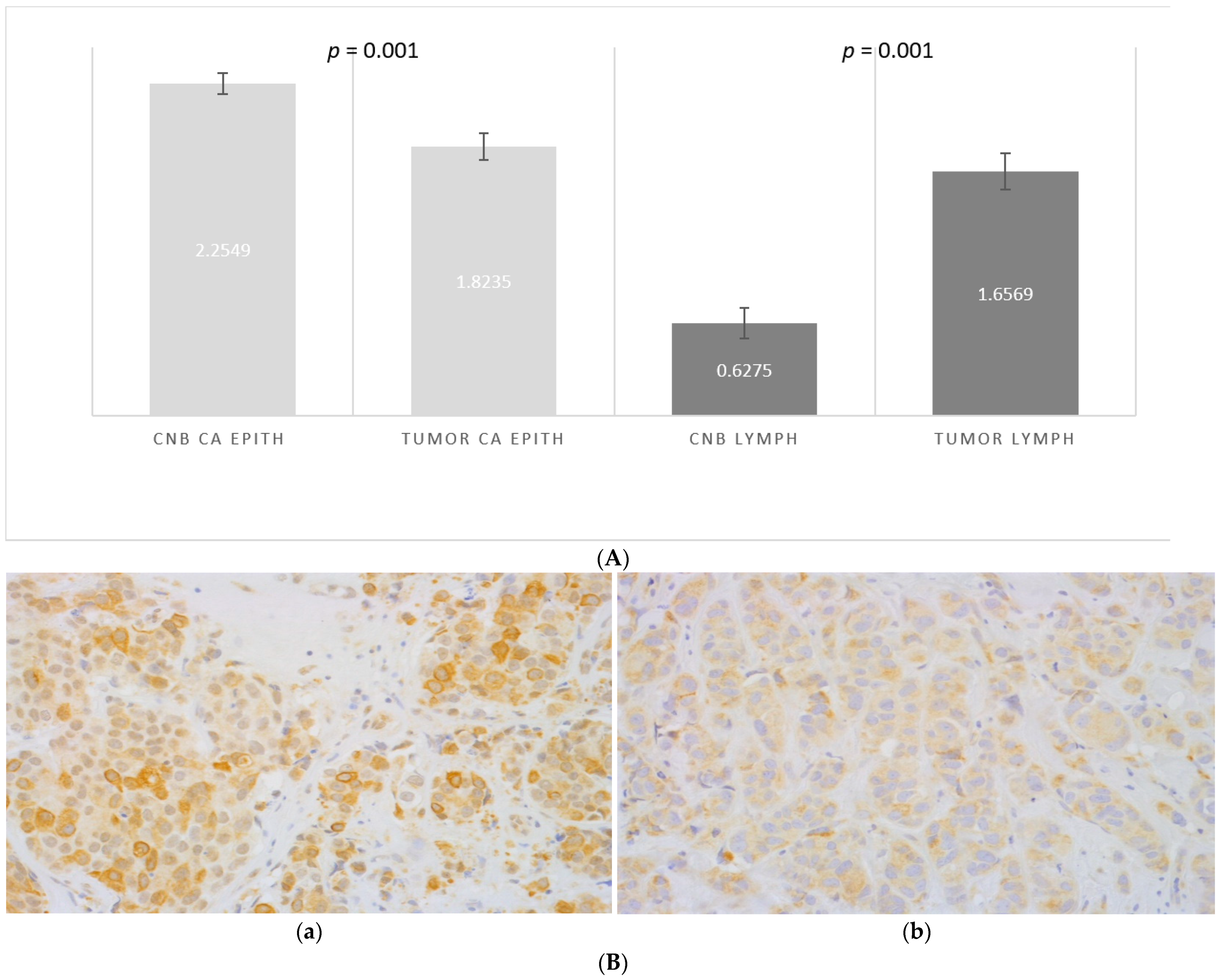 Onco 02 00001 g003 550