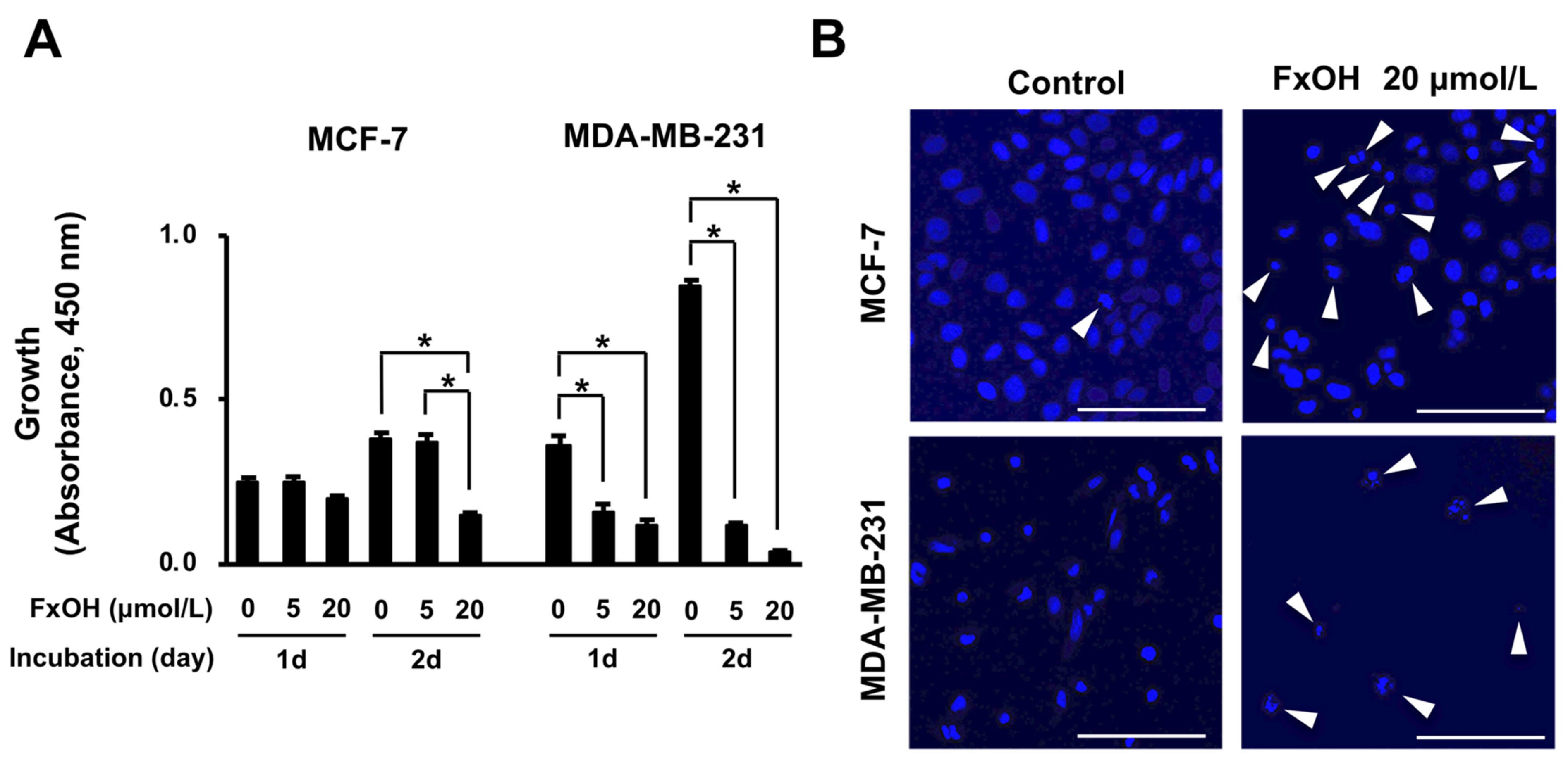 Onco 02 00010 g002a 550