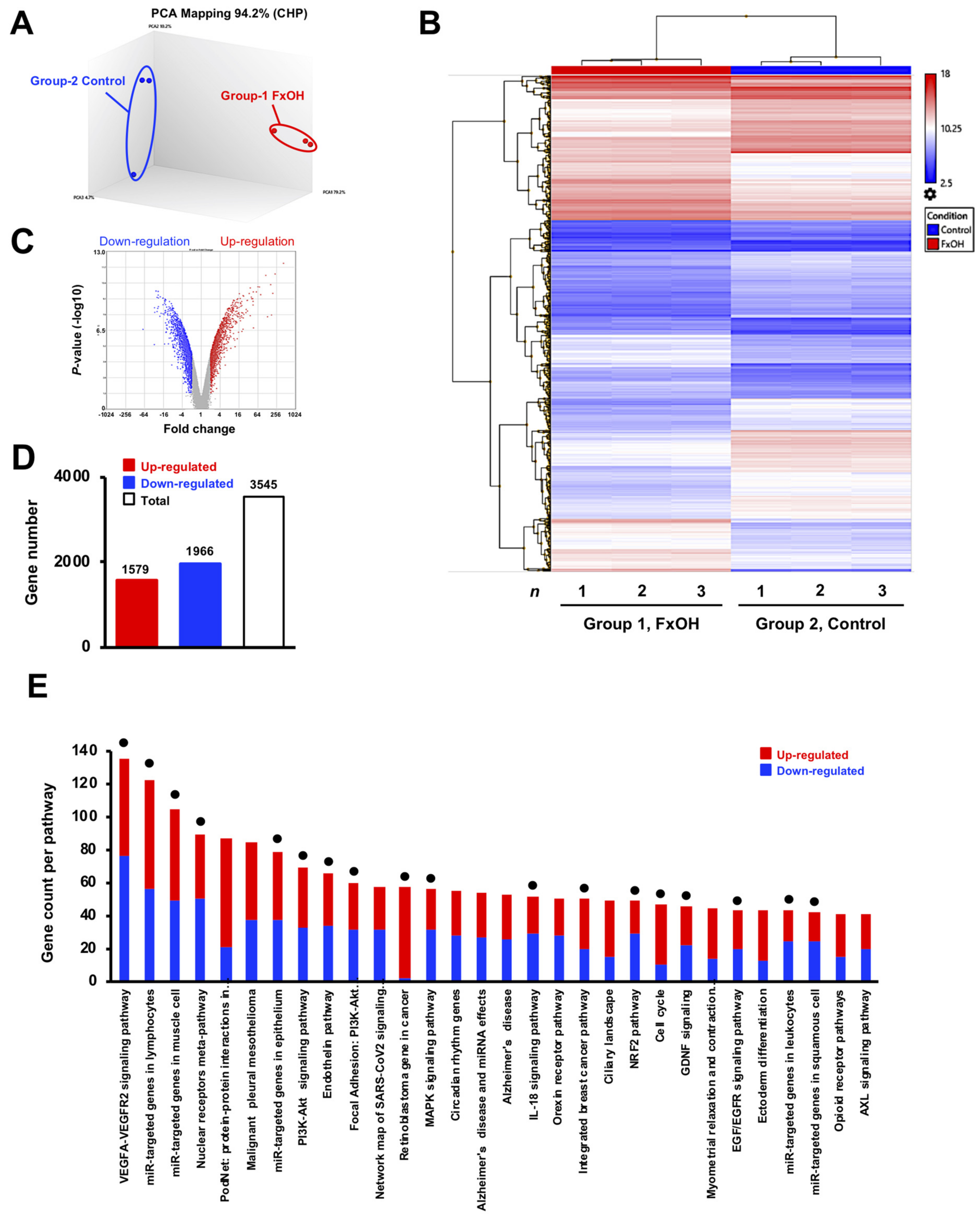 Onco 02 00010 g003 550