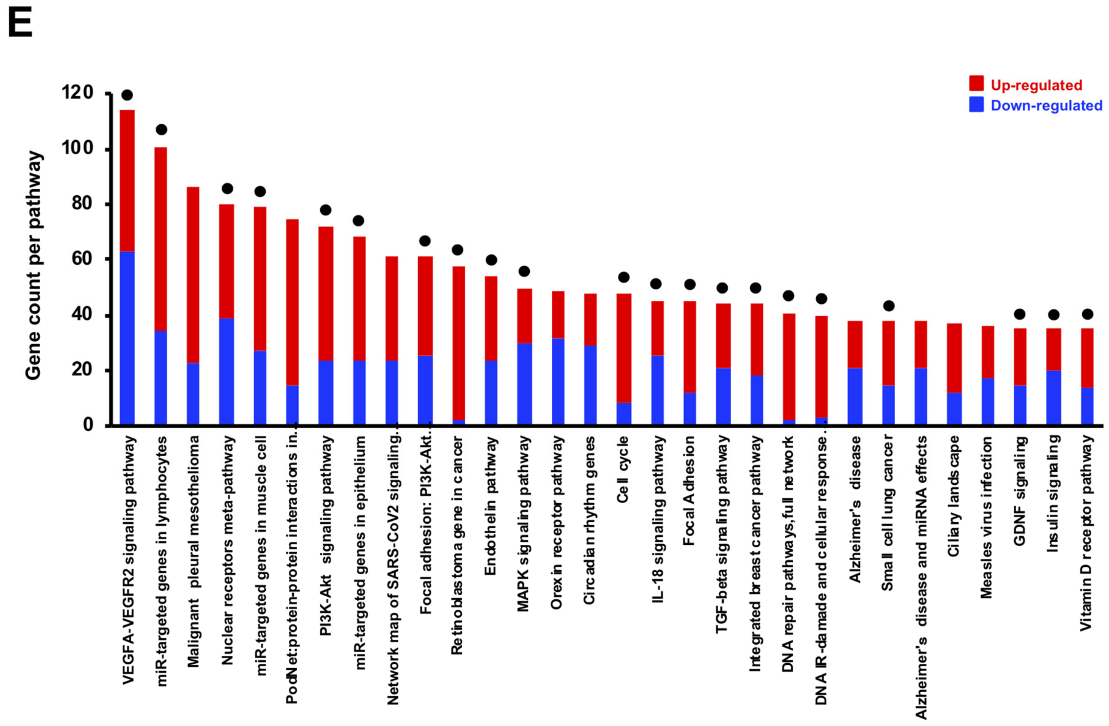 Onco 02 00010 g004b 550