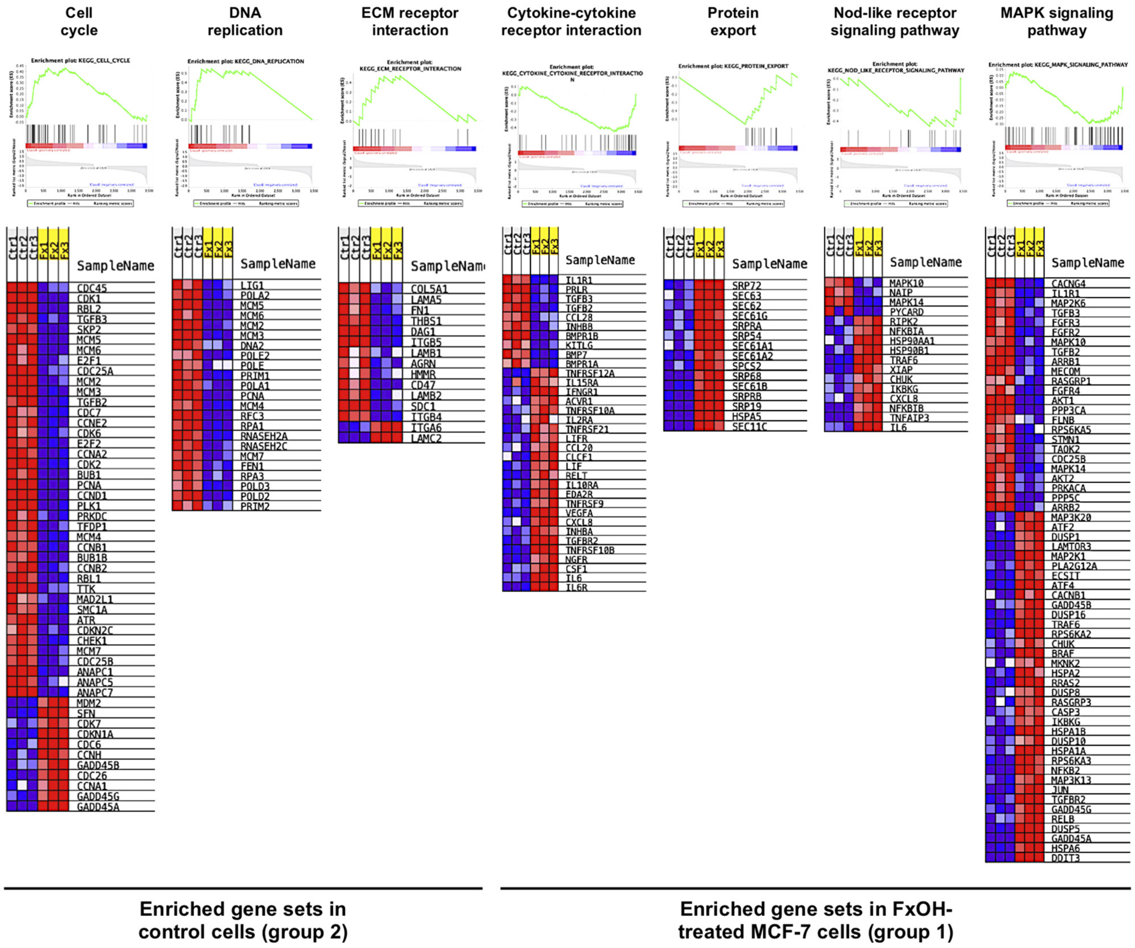 Onco 02 00010 g005 550