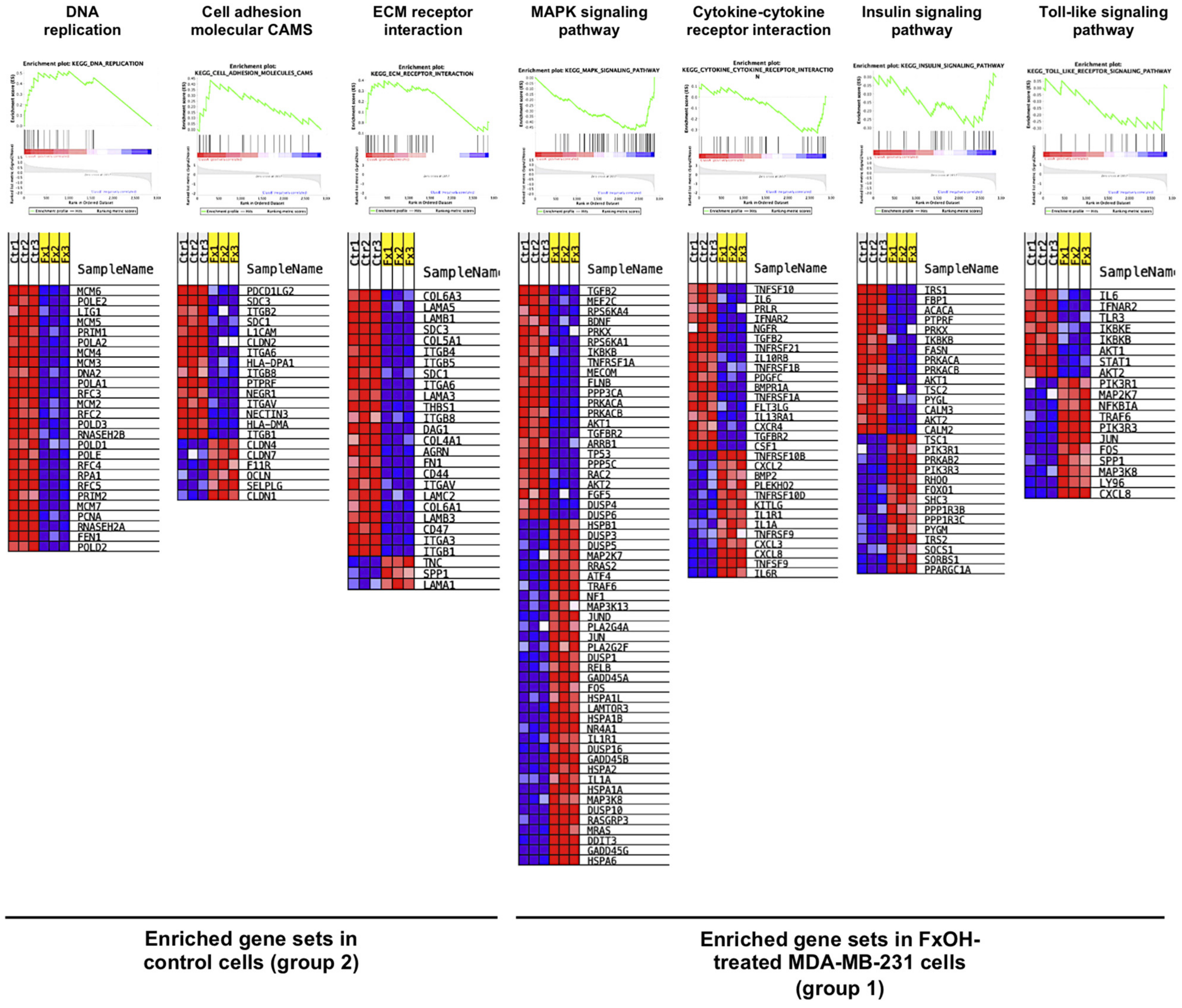 Onco 02 00010 g006 550