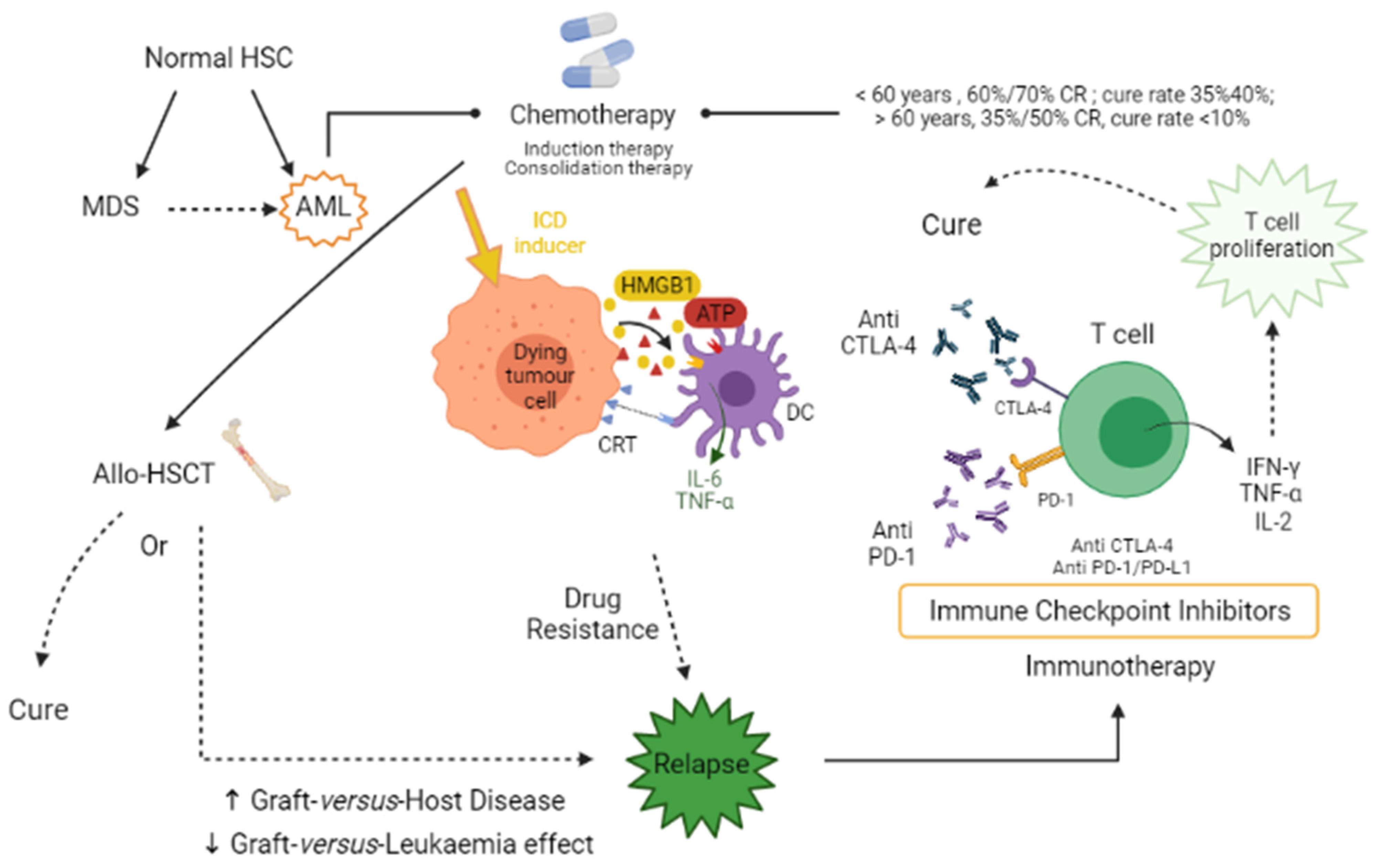 Onco Free FullText The Role of Immune Checkpoint Blockade in Acute Myeloid Leukemia