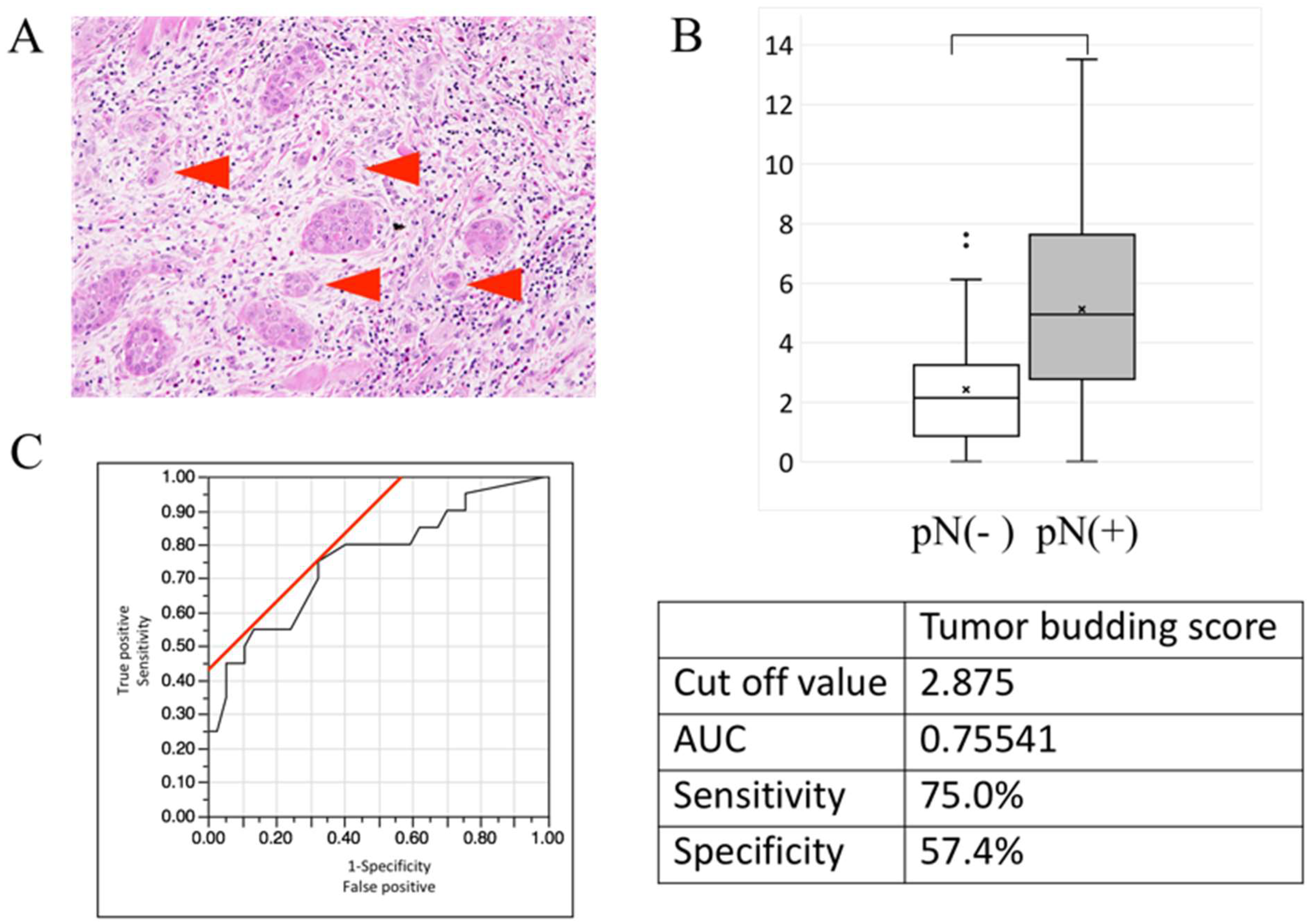 Onco 03 00005 g002 550
