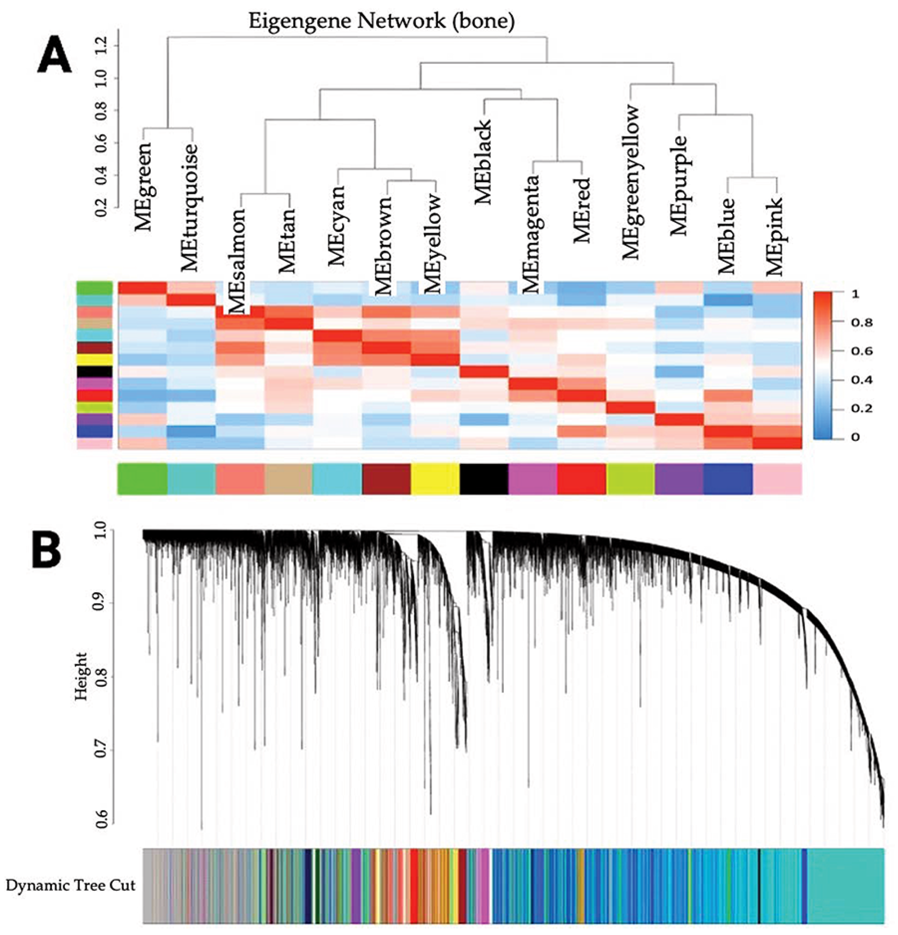 Onco 03 00007 g001 Onco 03 00007 g001
