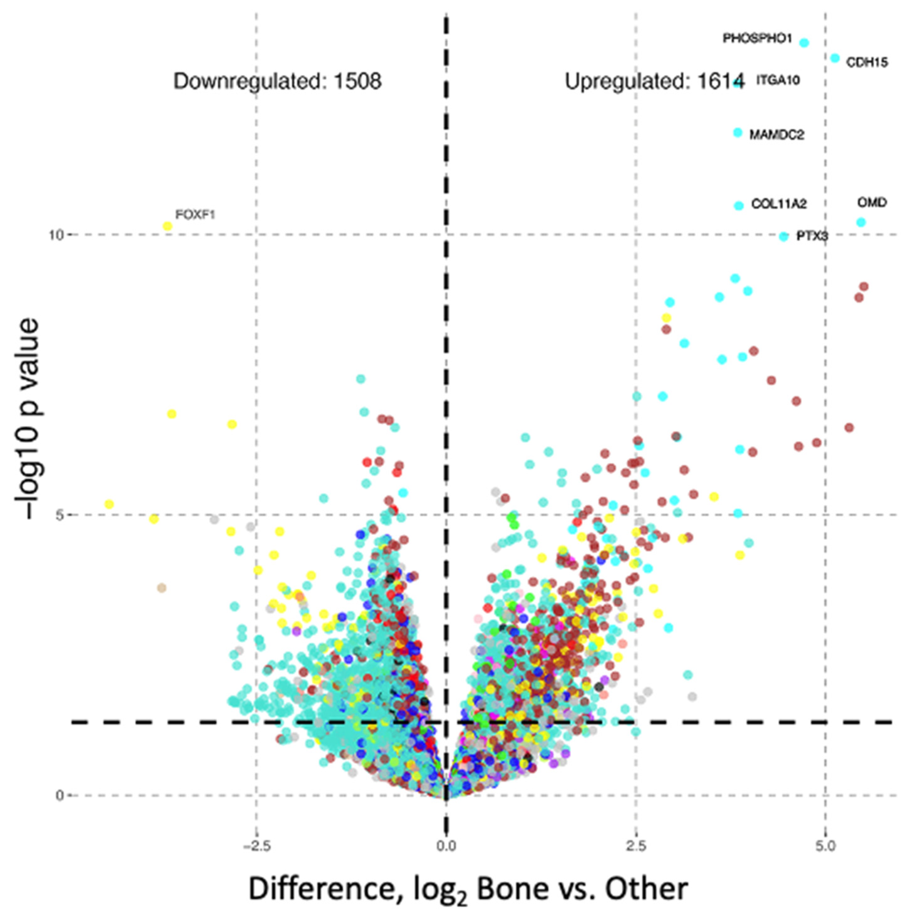 Onco 03 00007 g003 Onco 03 00007 g003