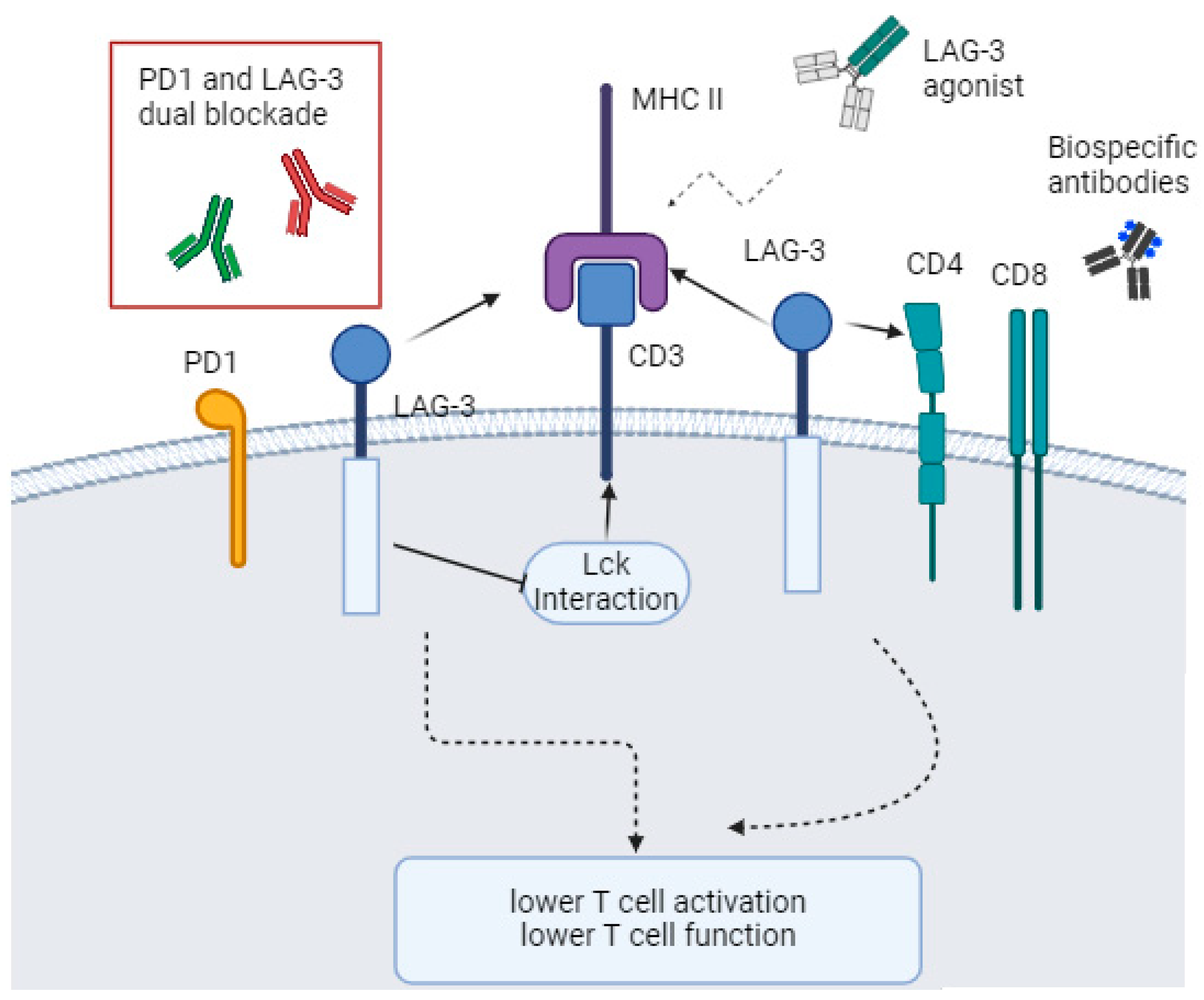 Onco 04 00010 g001 Onco 04 00010 g001