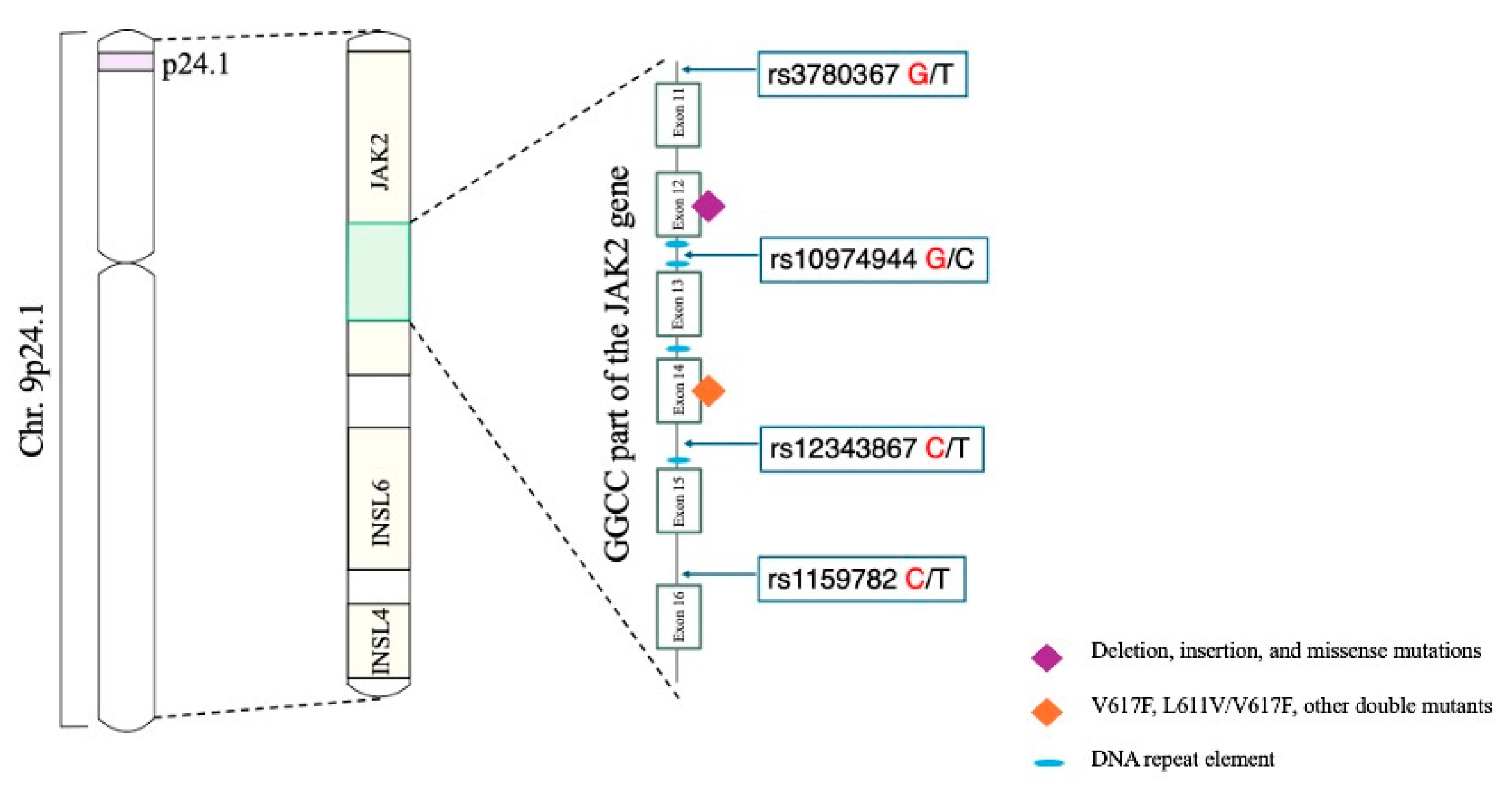 Onco 04 00018 g001 Onco 04 00018 g001