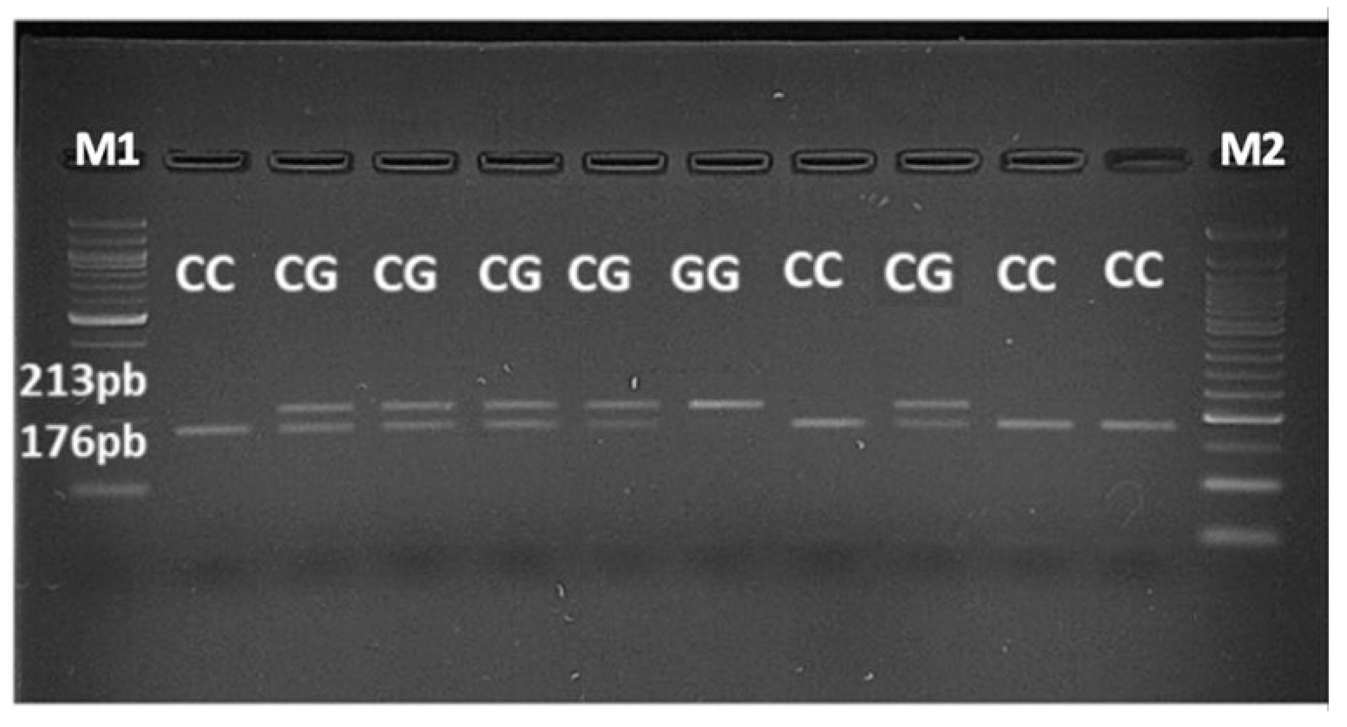 Onco 04 00018 g005 Onco 04 00018 g005