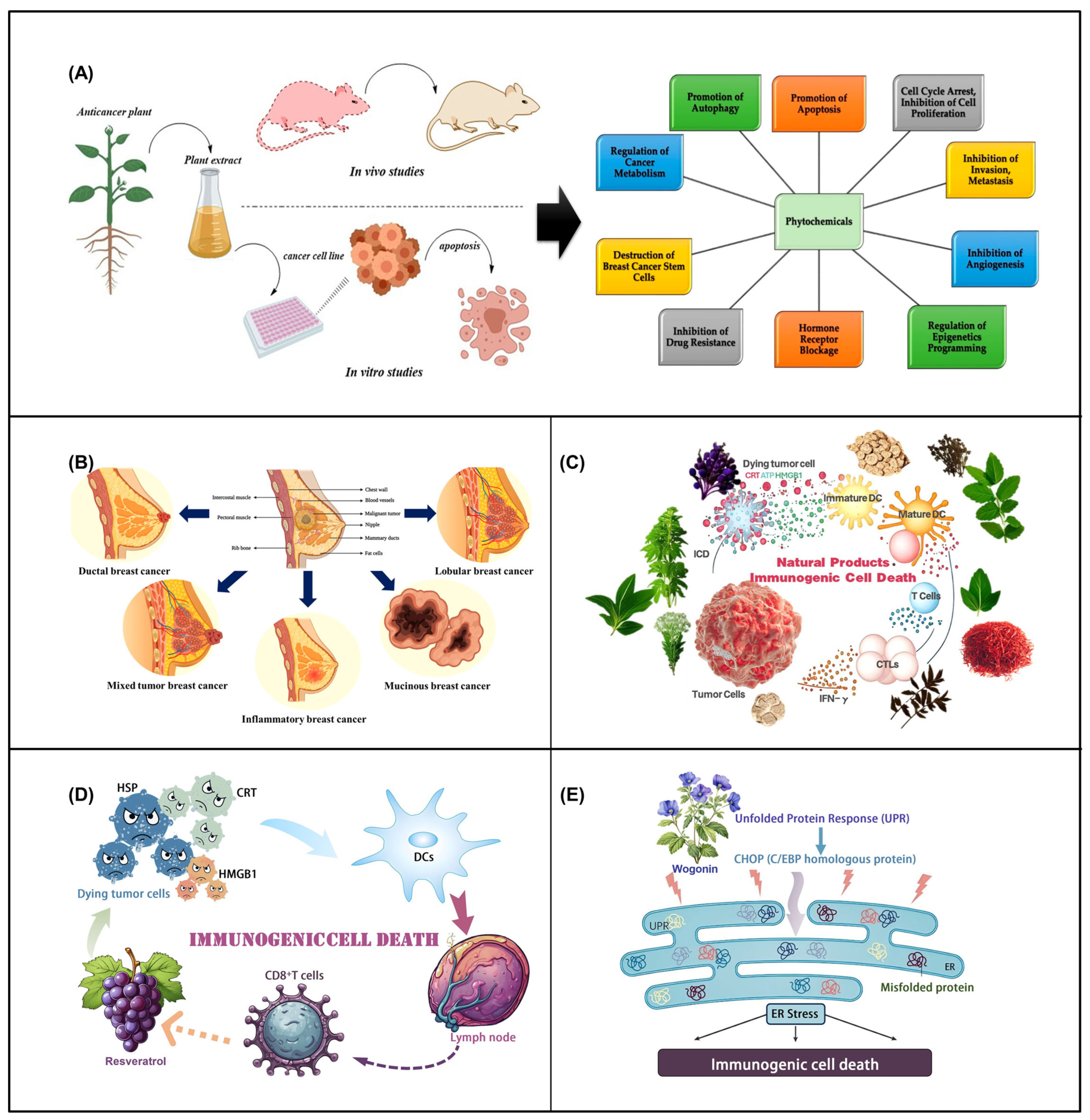 Molecular Insight and Antioxidative Therapeutic Potentials