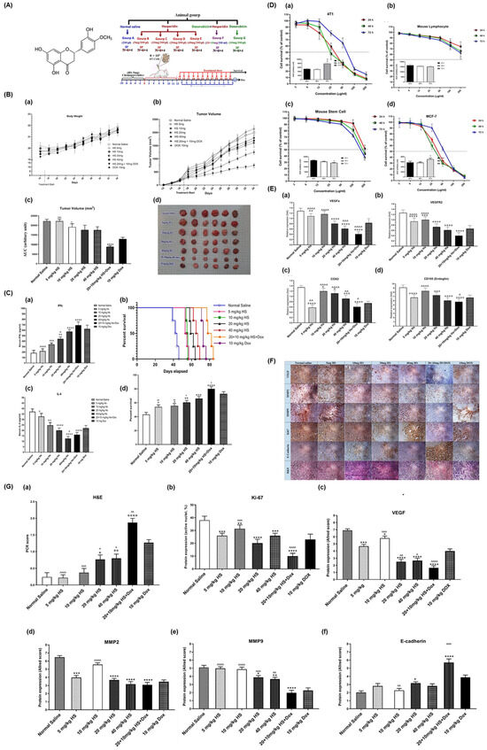 Molecular Insight and Antioxidative Therapeutic Potentials of