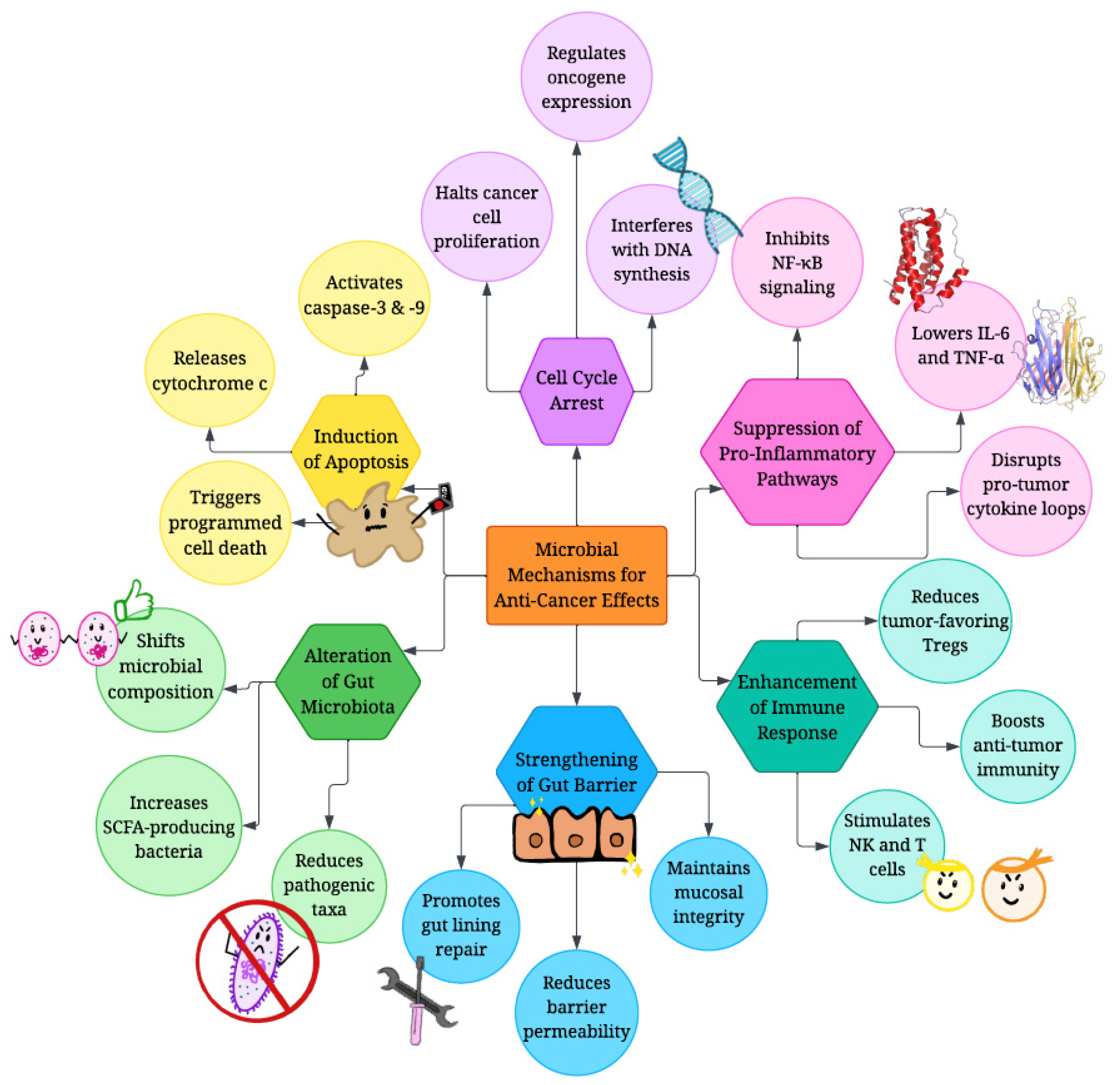 Onco 05 00041 g003 Onco 05 00041 g003