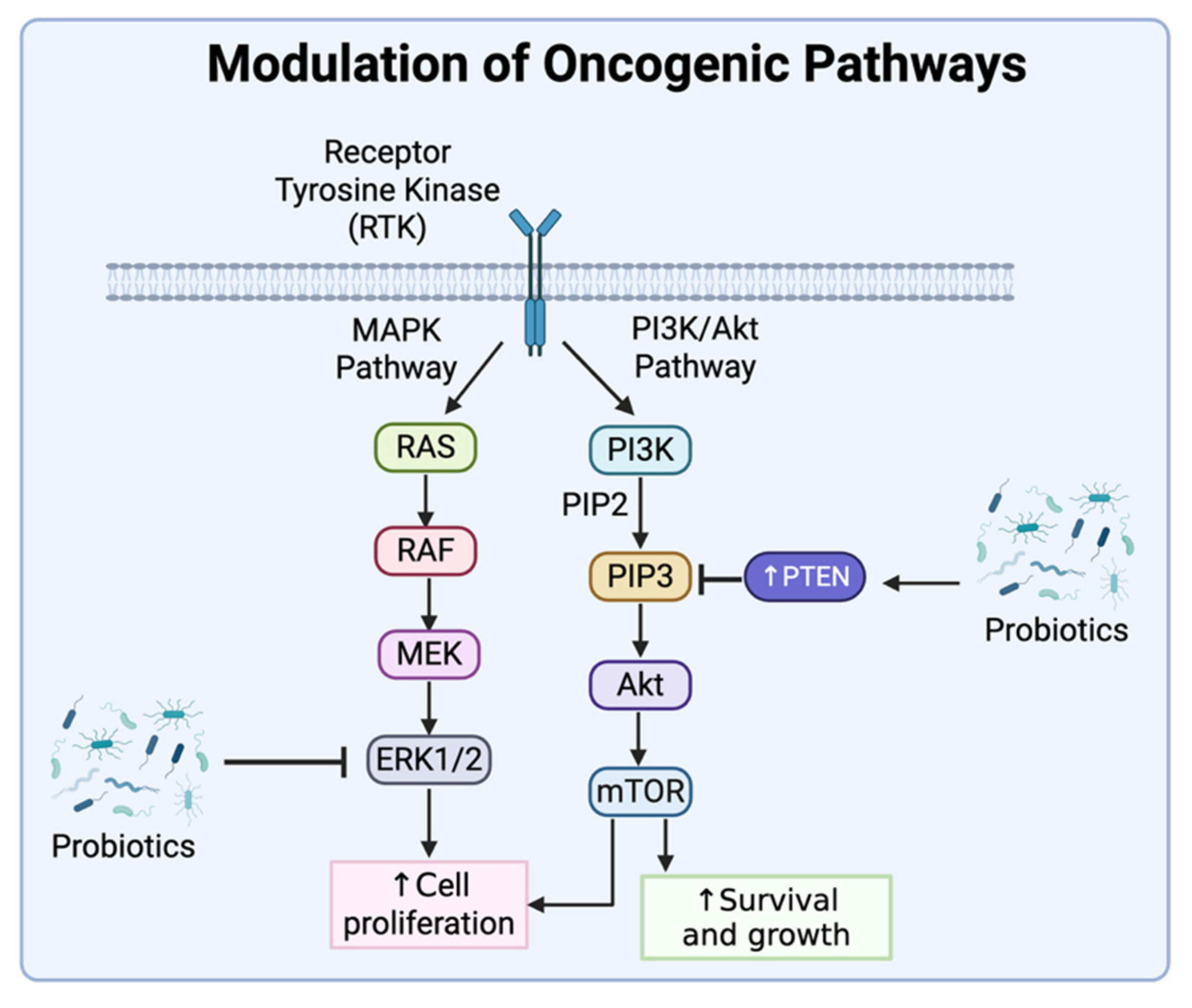 Onco 05 00041 g004 Onco 05 00041 g004