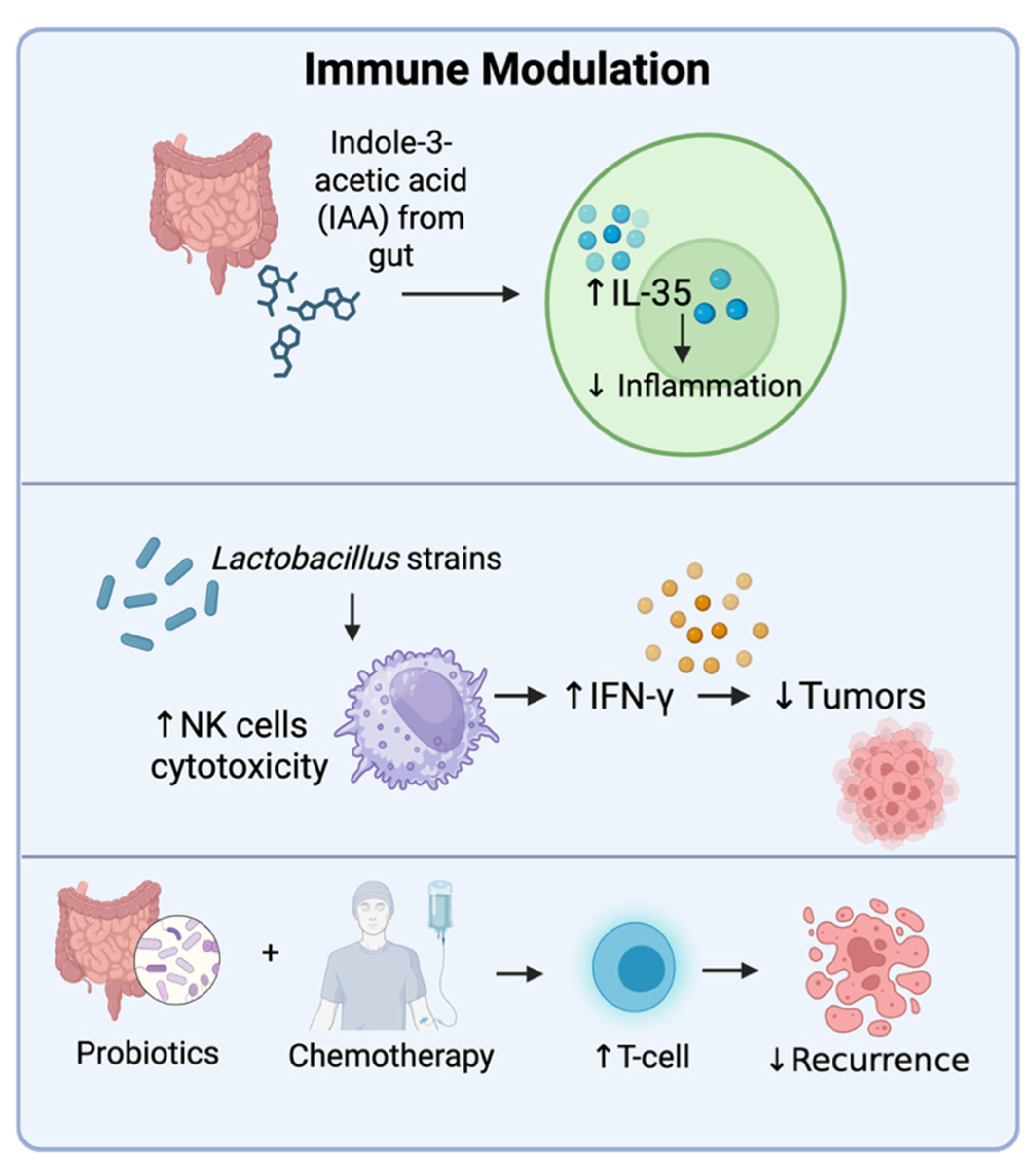 Onco 05 00041 g007 Onco 05 00041 g007