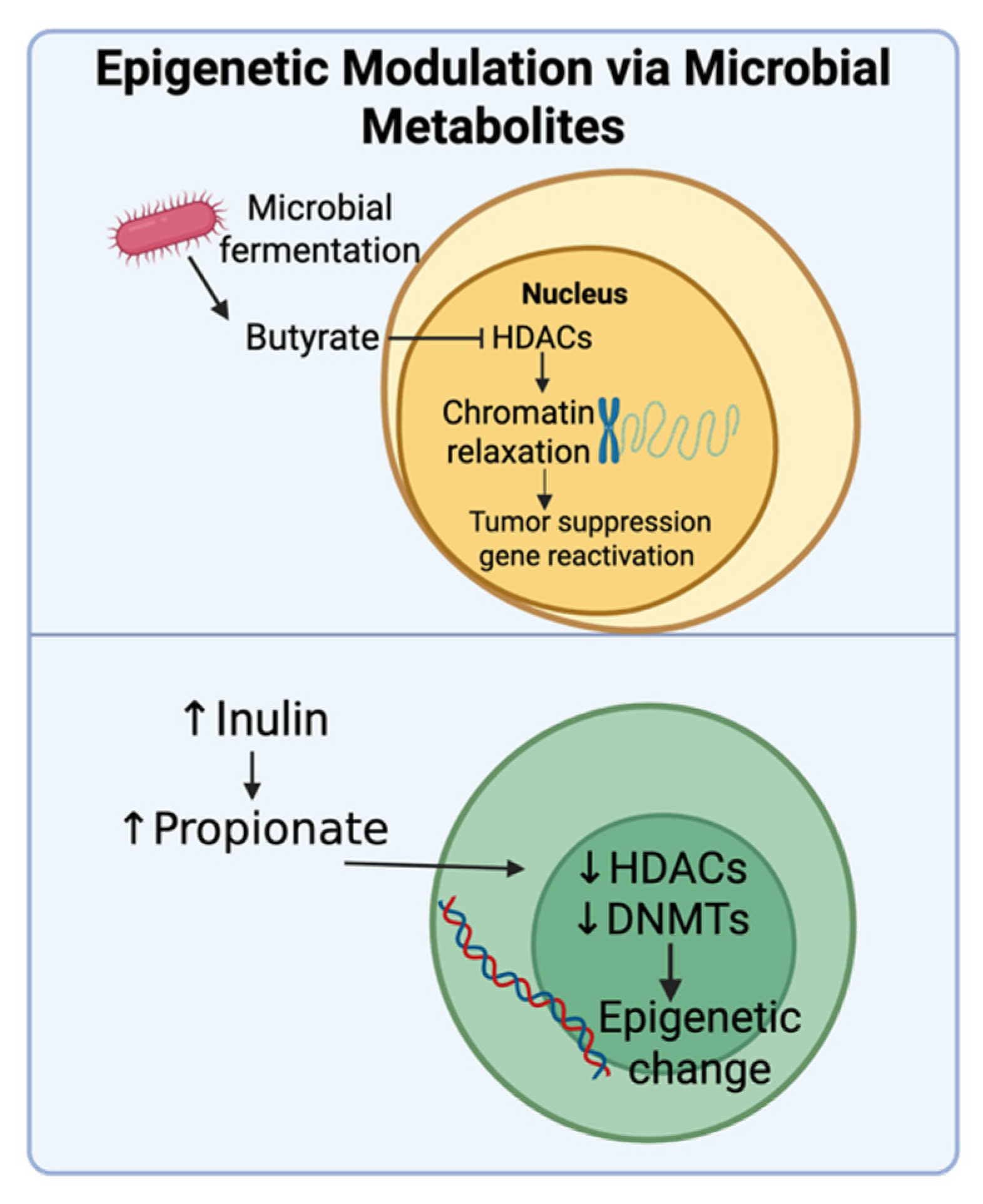 Onco 05 00041 g008 Onco 05 00041 g008