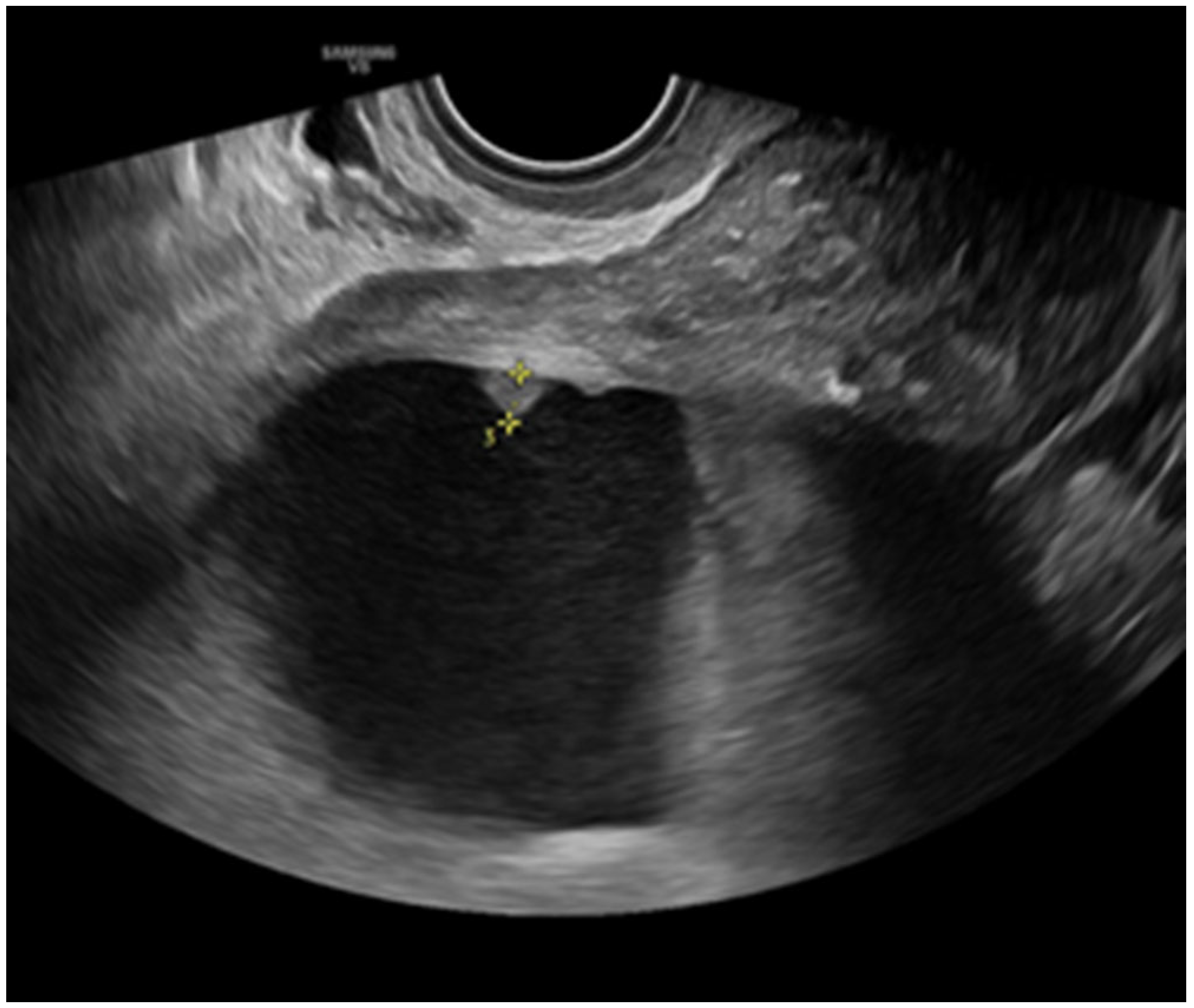 Onco 05 00046 g001 Onco 05 00046 g001