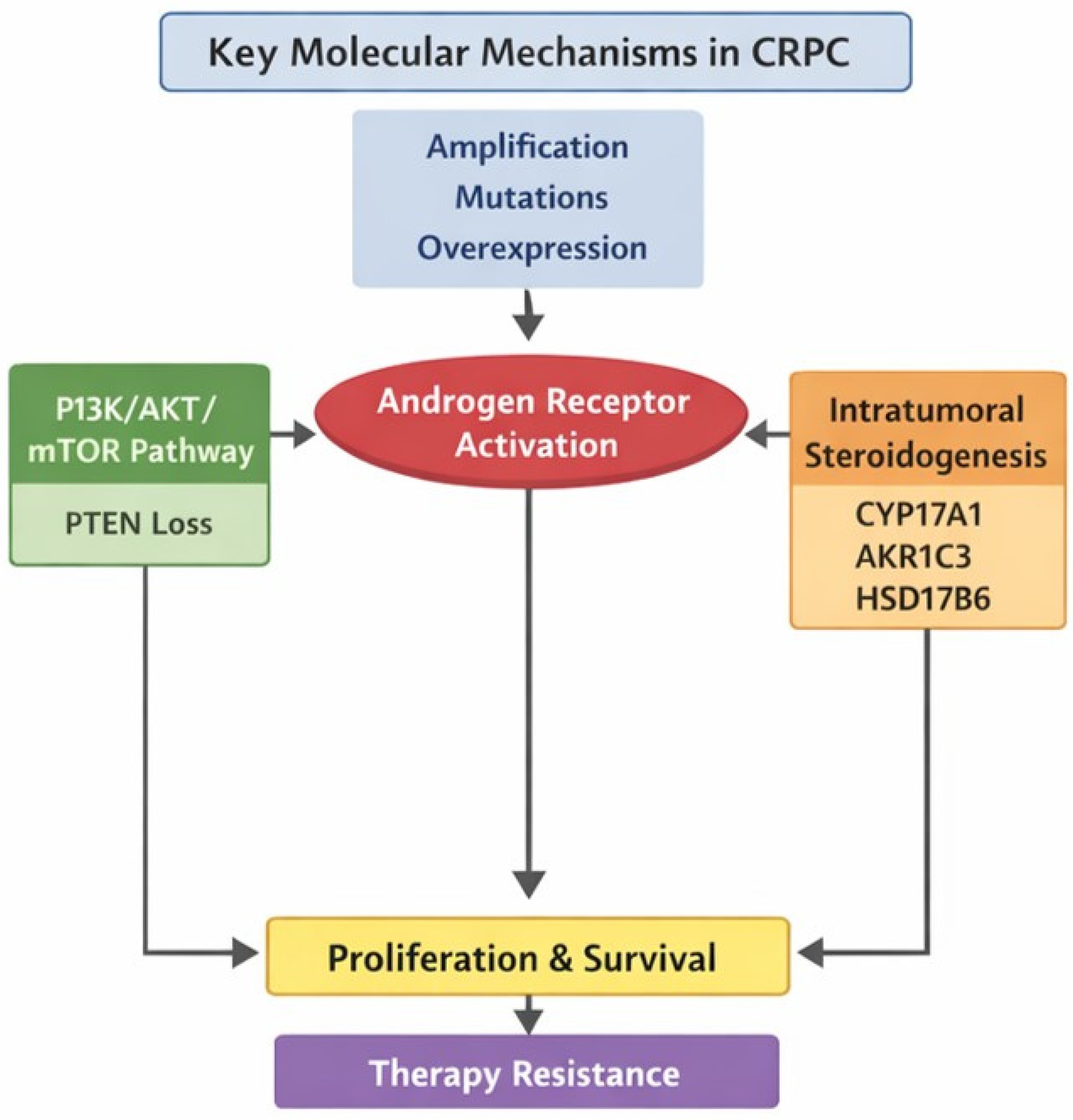 Emerging Therapeutic Targets in Castration-Resistant Prostate Cancer