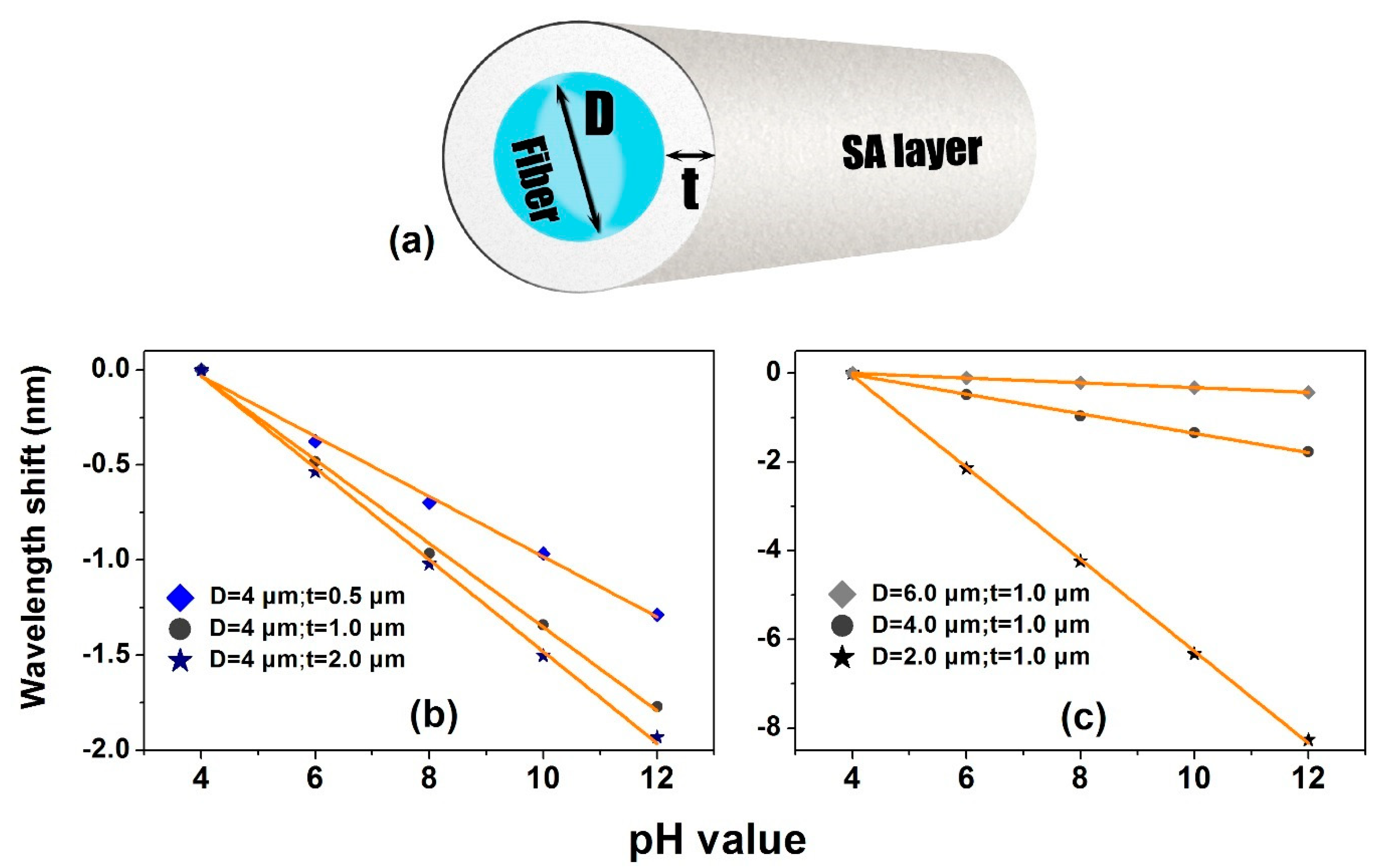 Optics 01 00016 g006