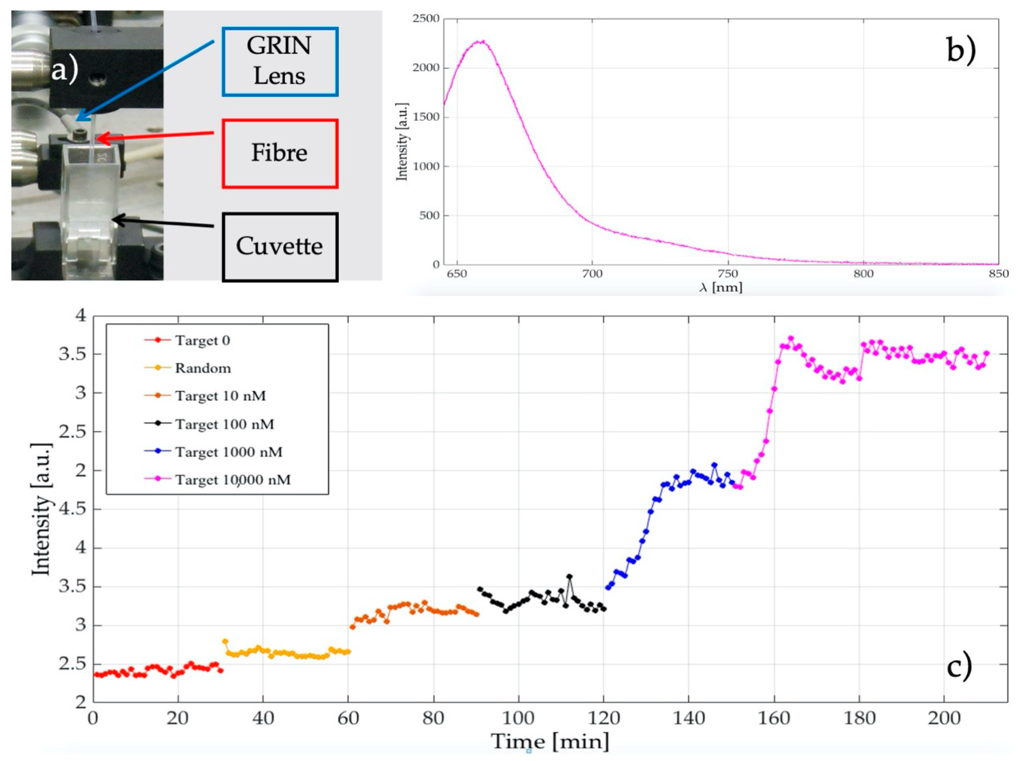 Optics 01 00017 g004 Optics 01 00017 g004