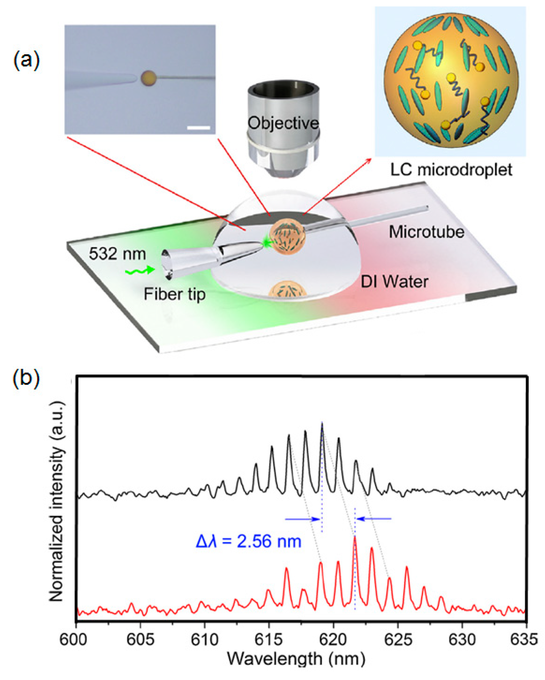 Optics 01 00017 g010 Optics 01 00017 g010