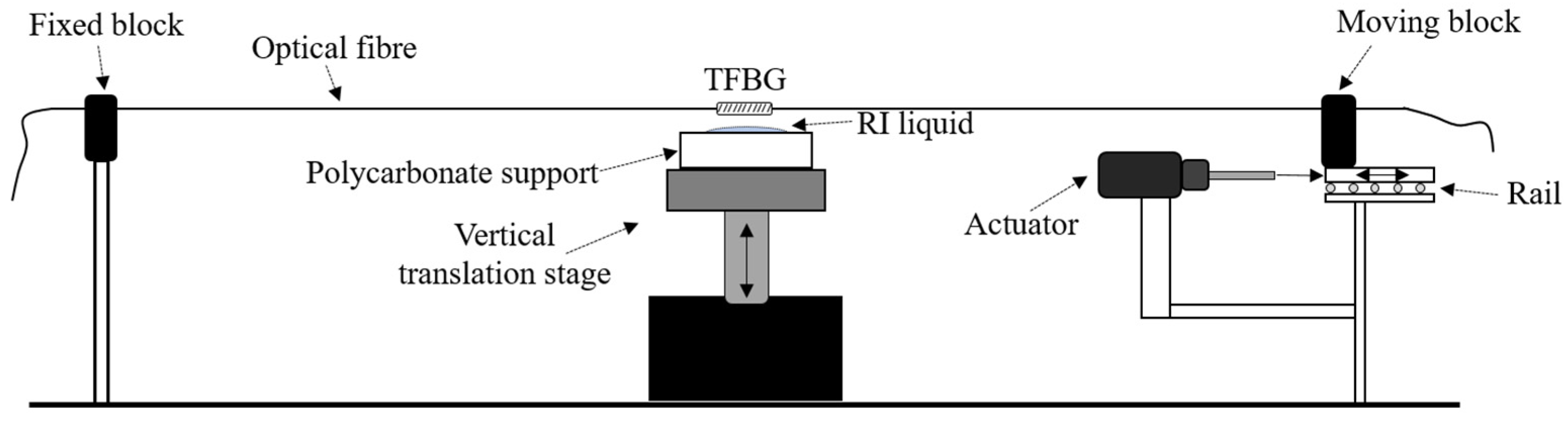 Optics 02 00012 g003