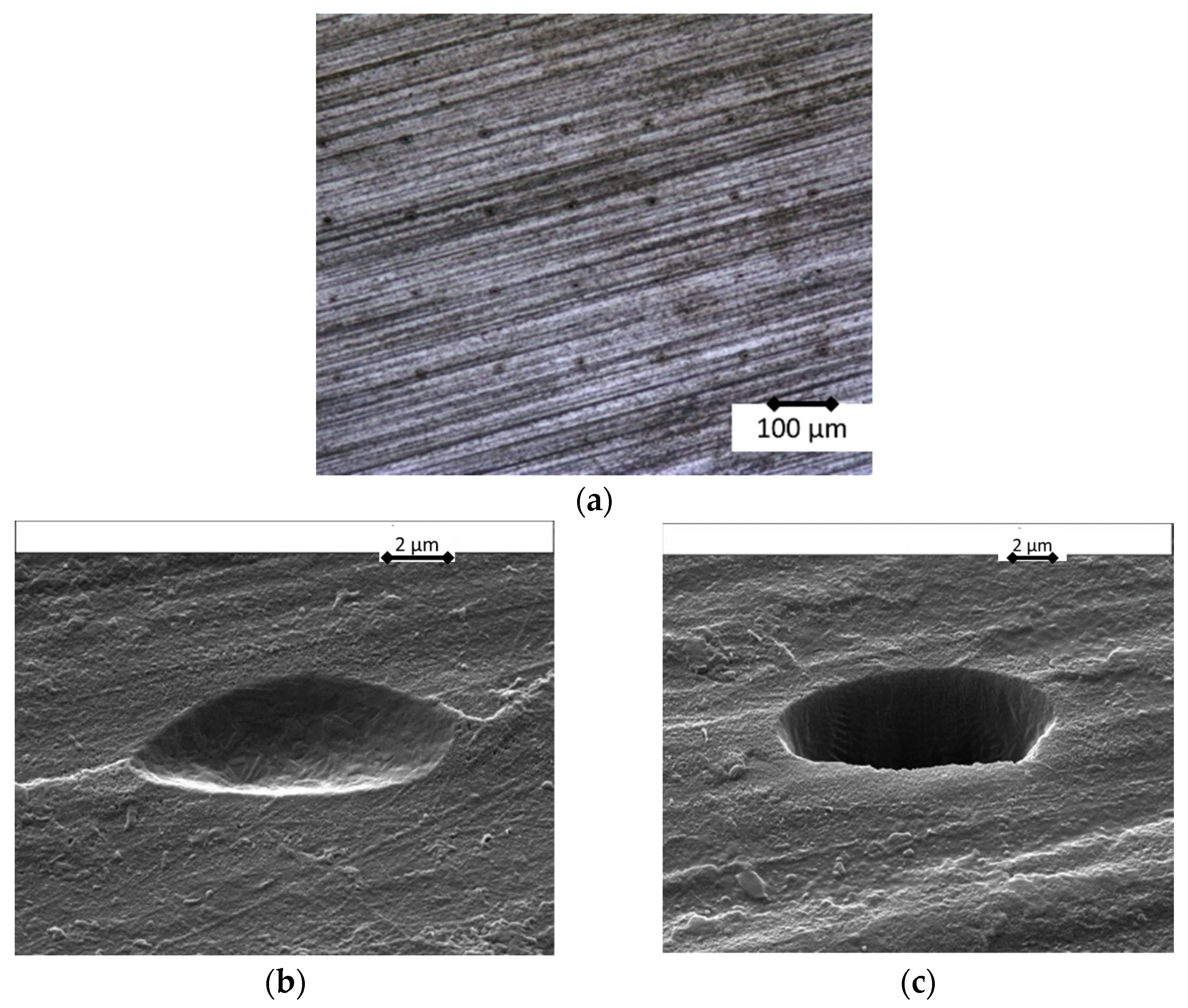 Optics 02 00016 g004