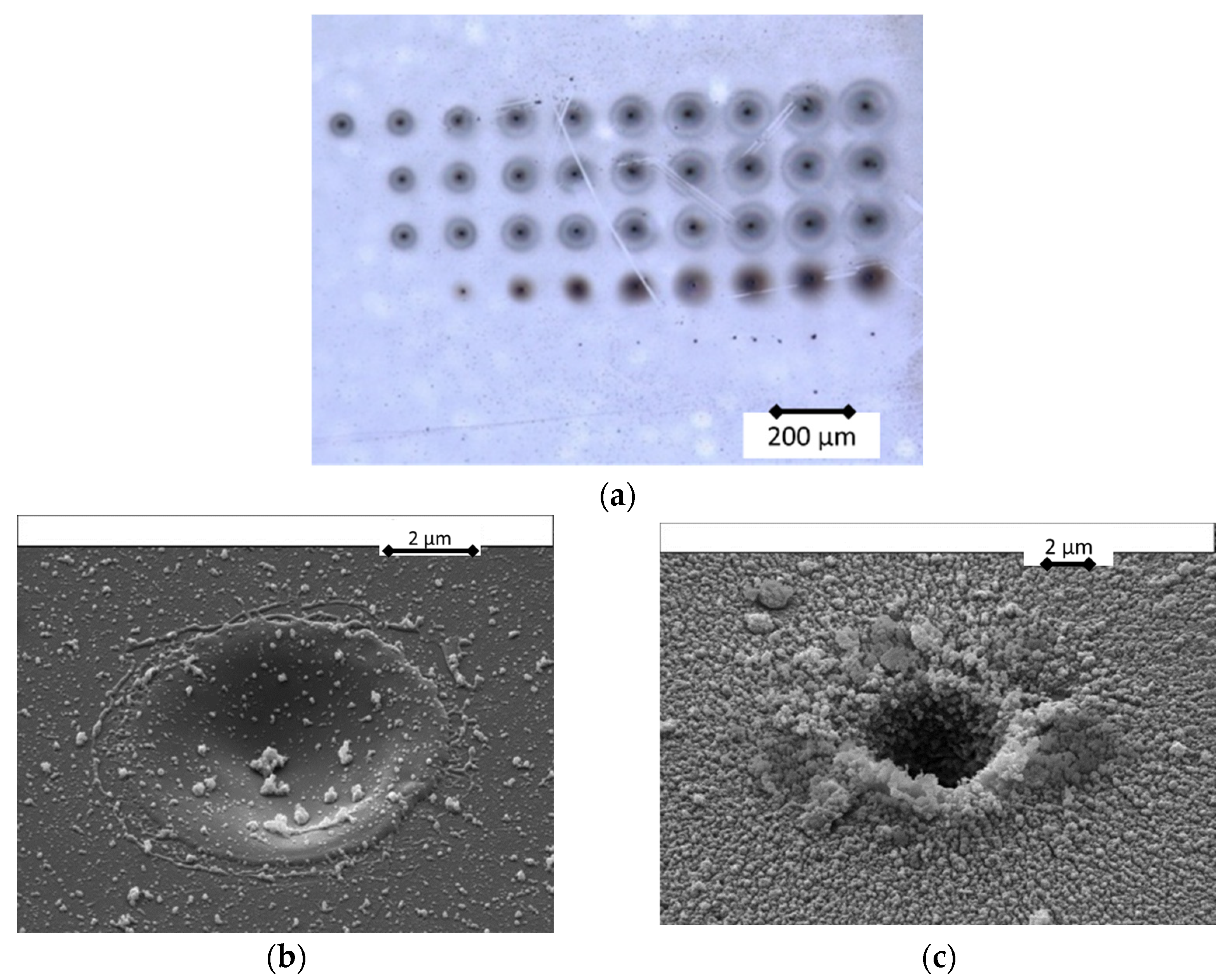 Optics 02 00016 g005