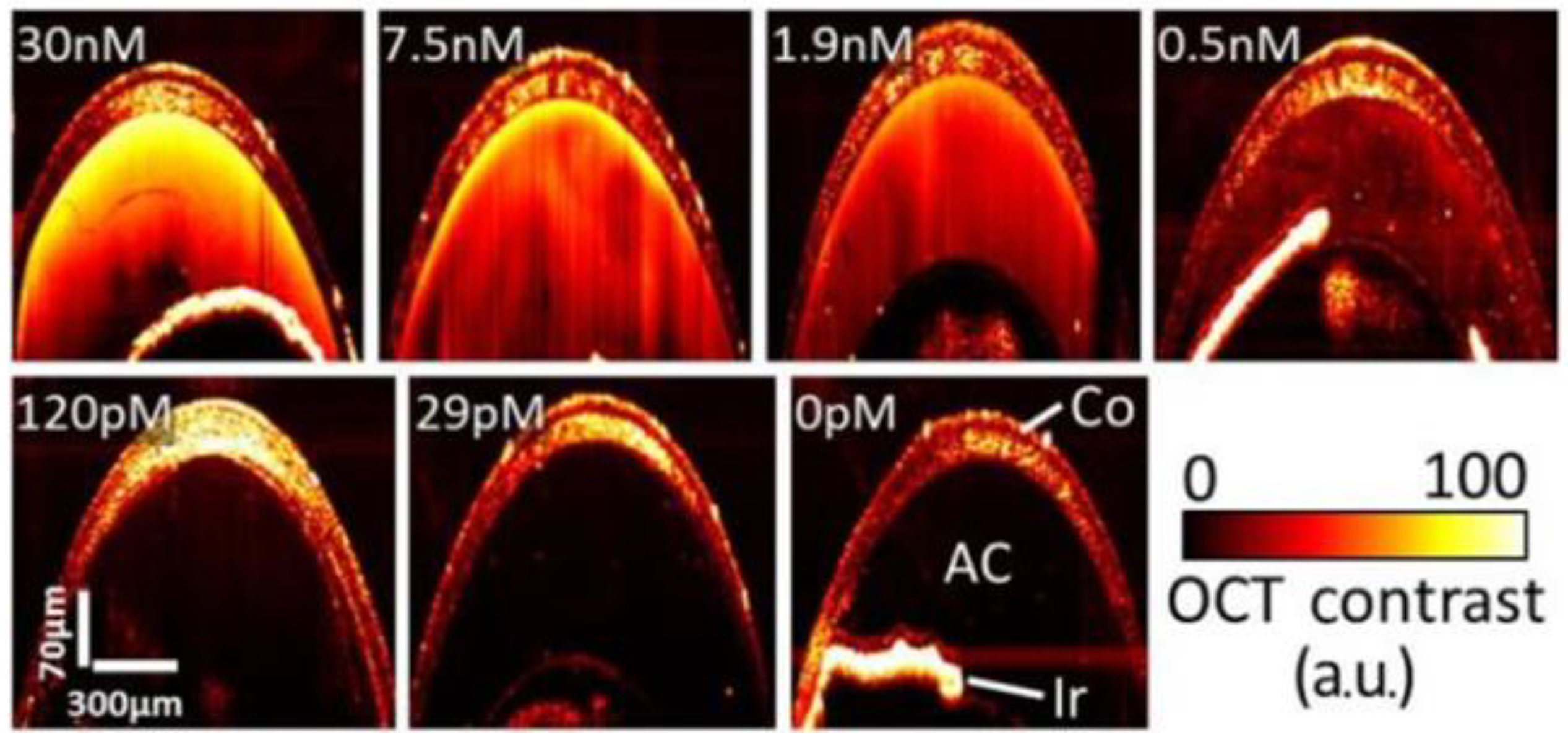 Optics 04 00007 g004 Optics 04 00007 g004
