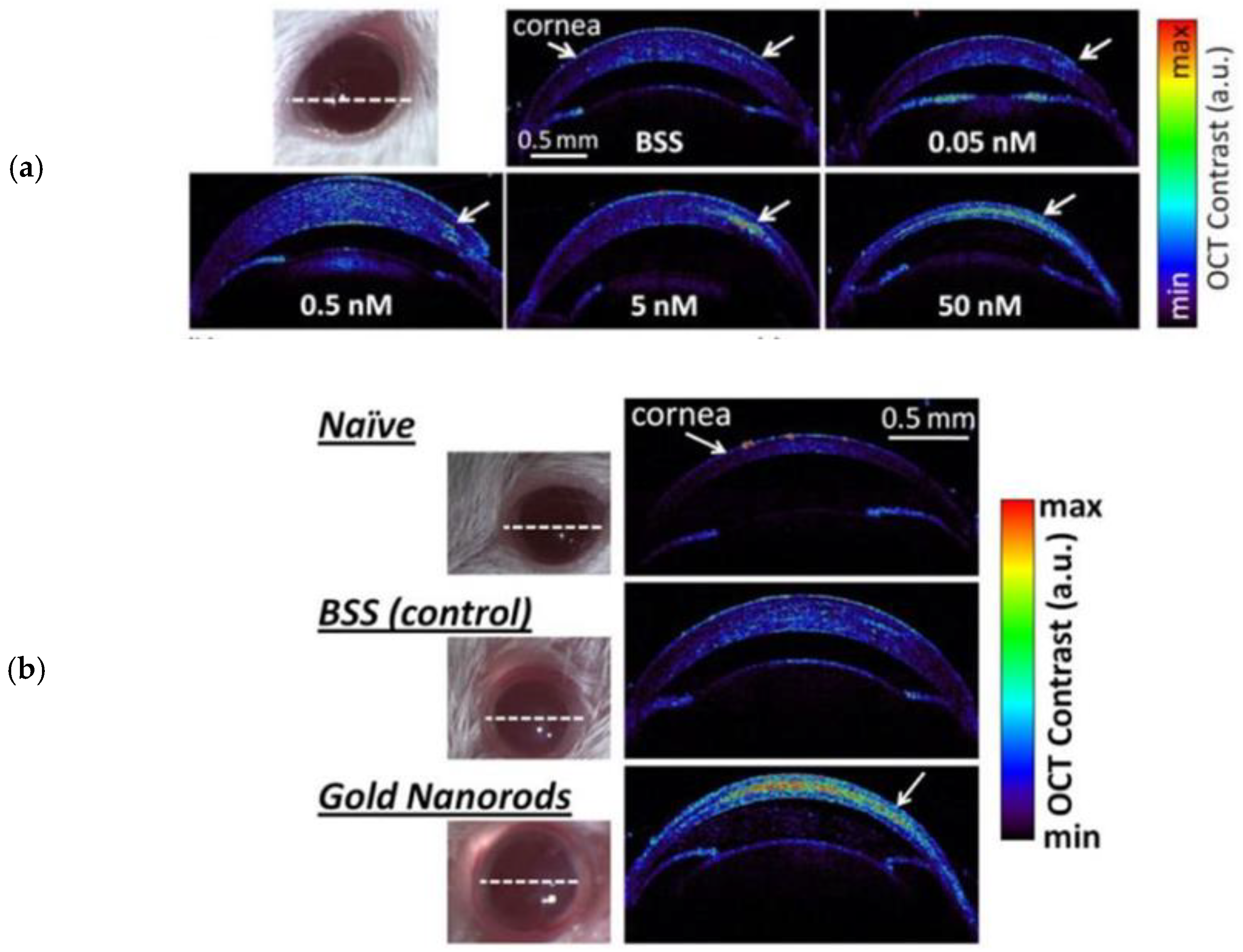 Optics 04 00007 g005 Optics 04 00007 g005