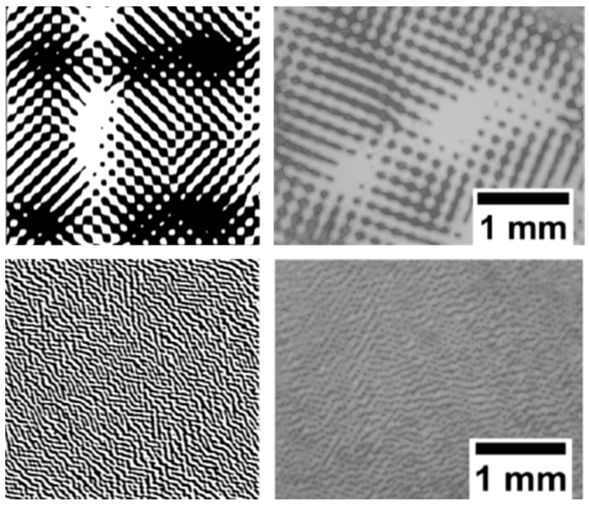 Optics 04 00010 g005